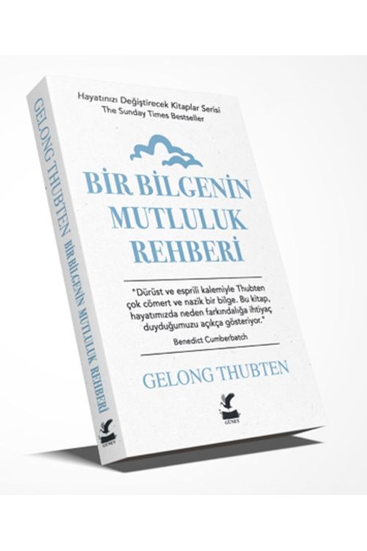 Güney Kitap Bir Bilgenin Mutluluk Rehberi