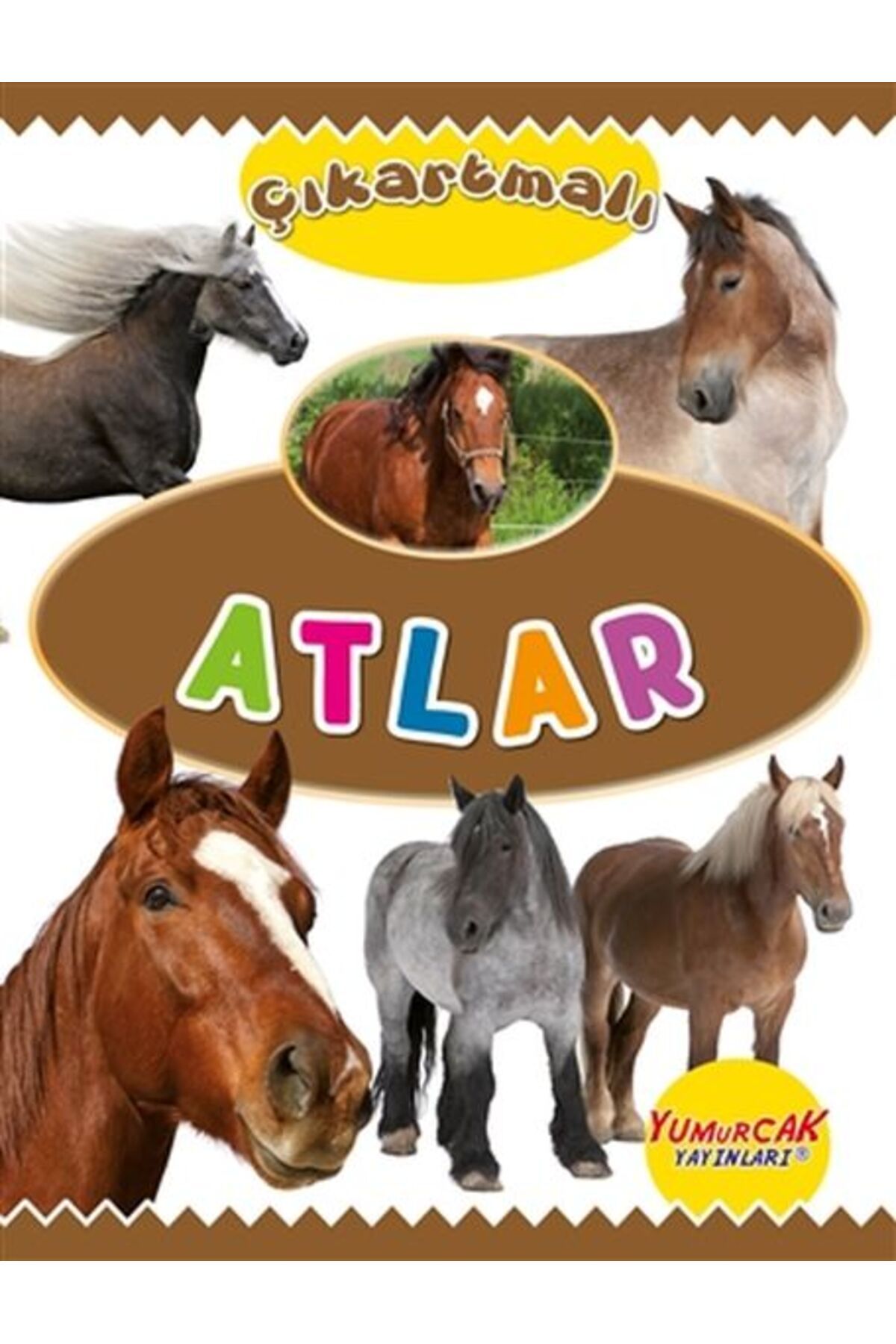 Yumurcak Yayınları Çıkartmalı Atlar