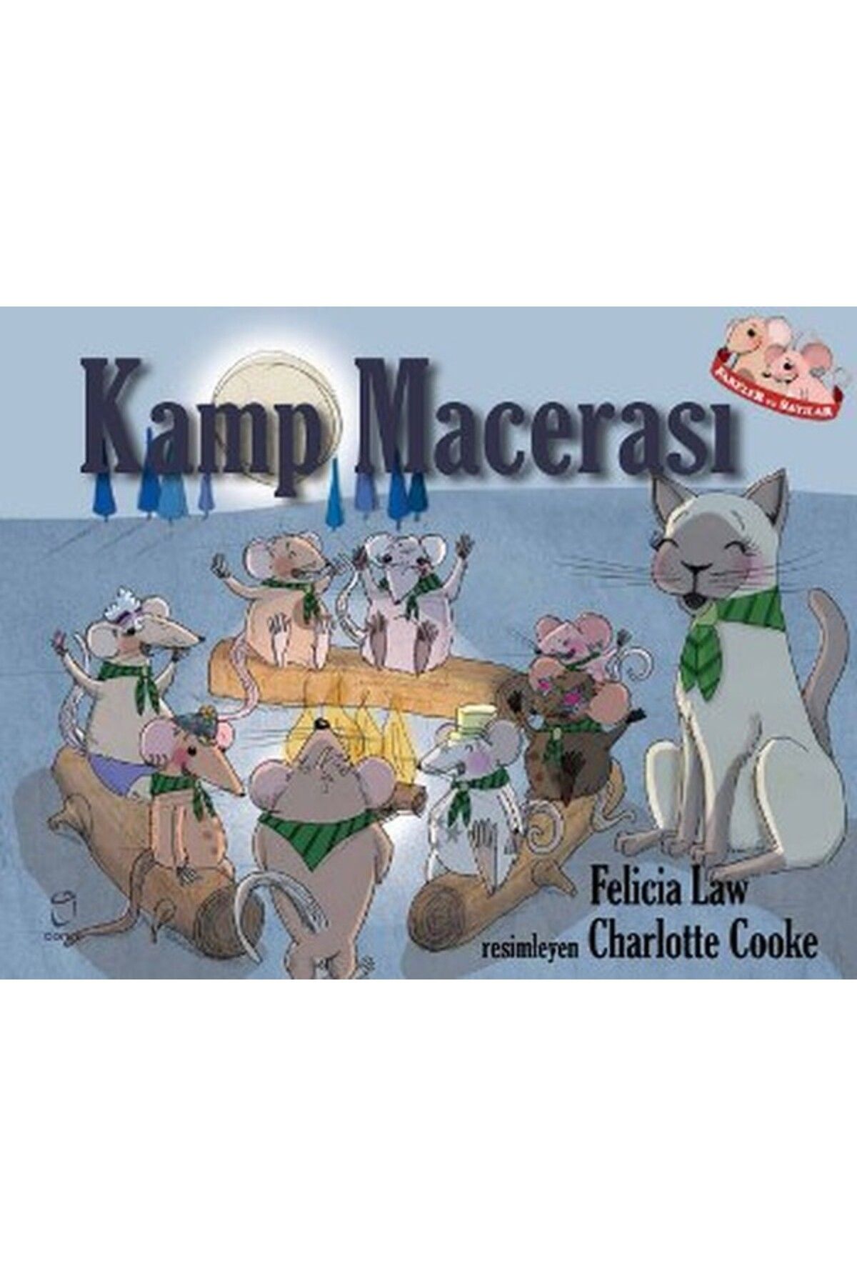 Doruk Yayınları Kamp Macerası
