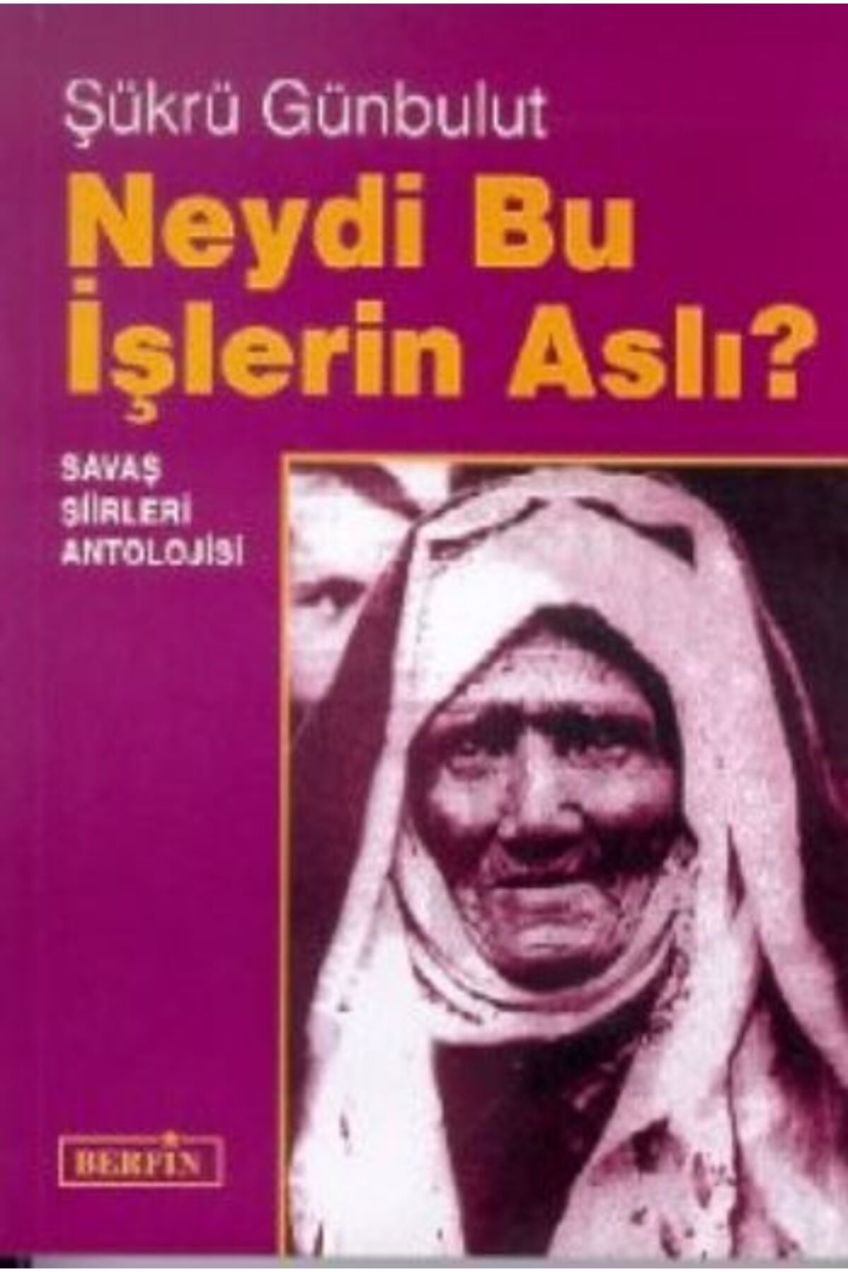 Berfin Yayınları Neydi Bu İşlerin Aslı?