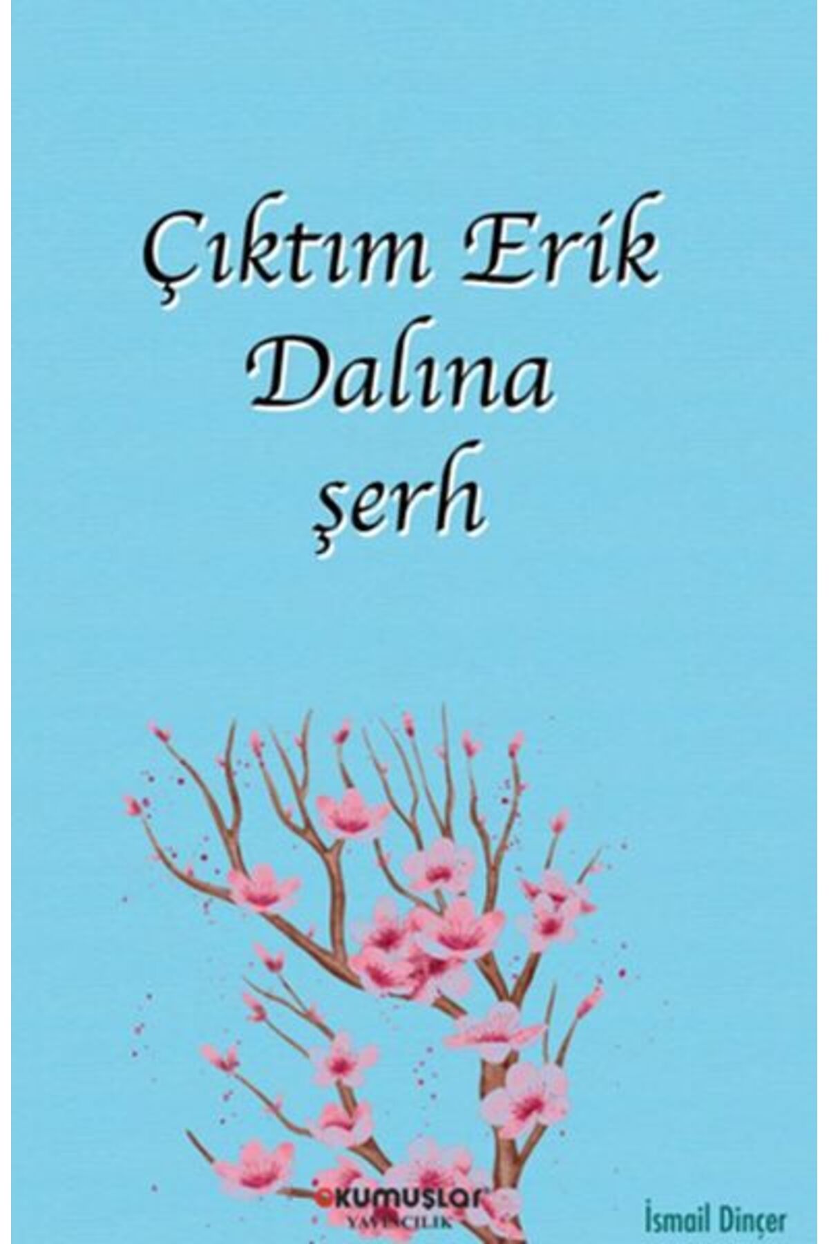 Okumuşlar Yayıncılık Çıktım Erik Dalına şerh