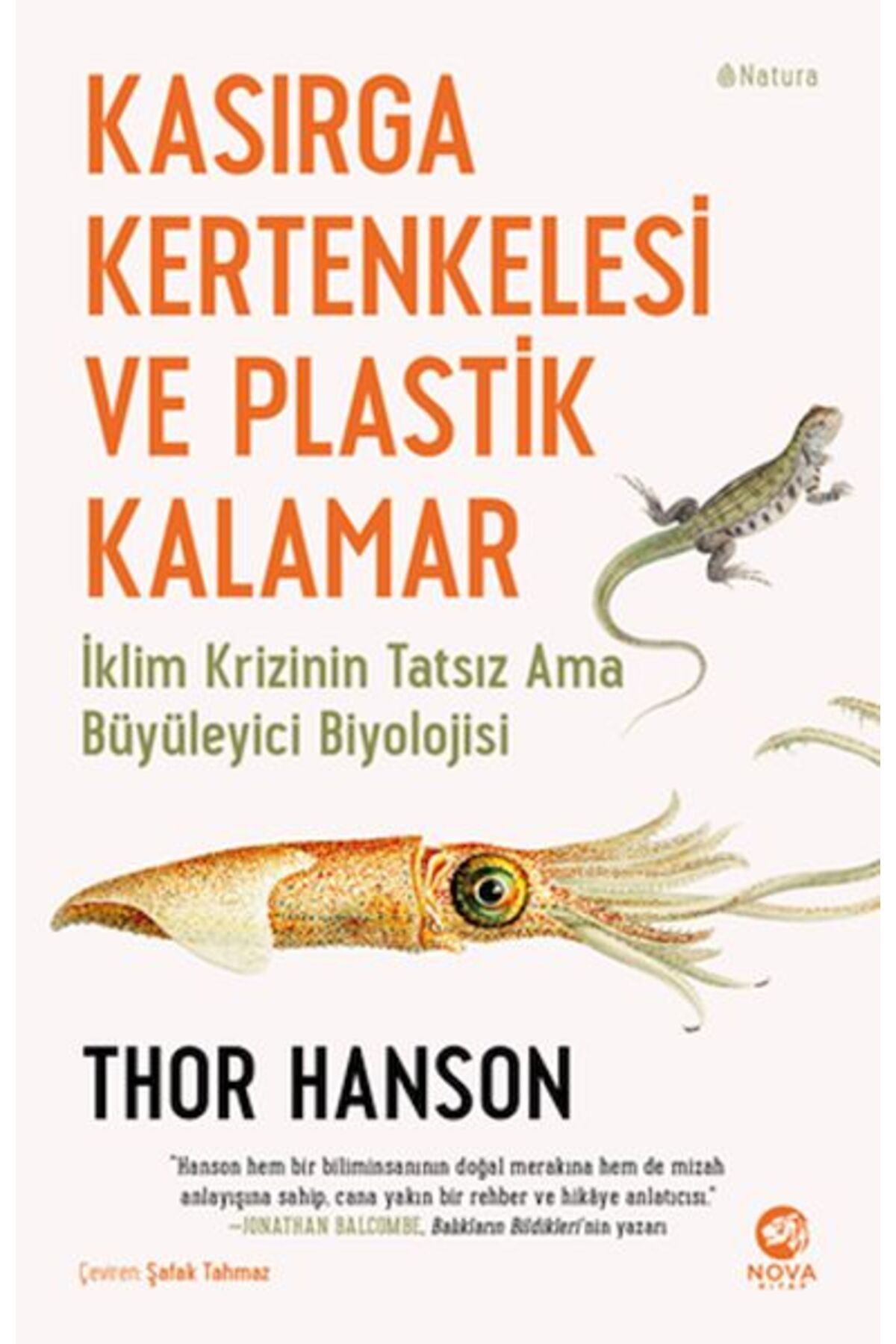 nova kitap Kasırga Kertenkelesi ve Plastik Kalamar