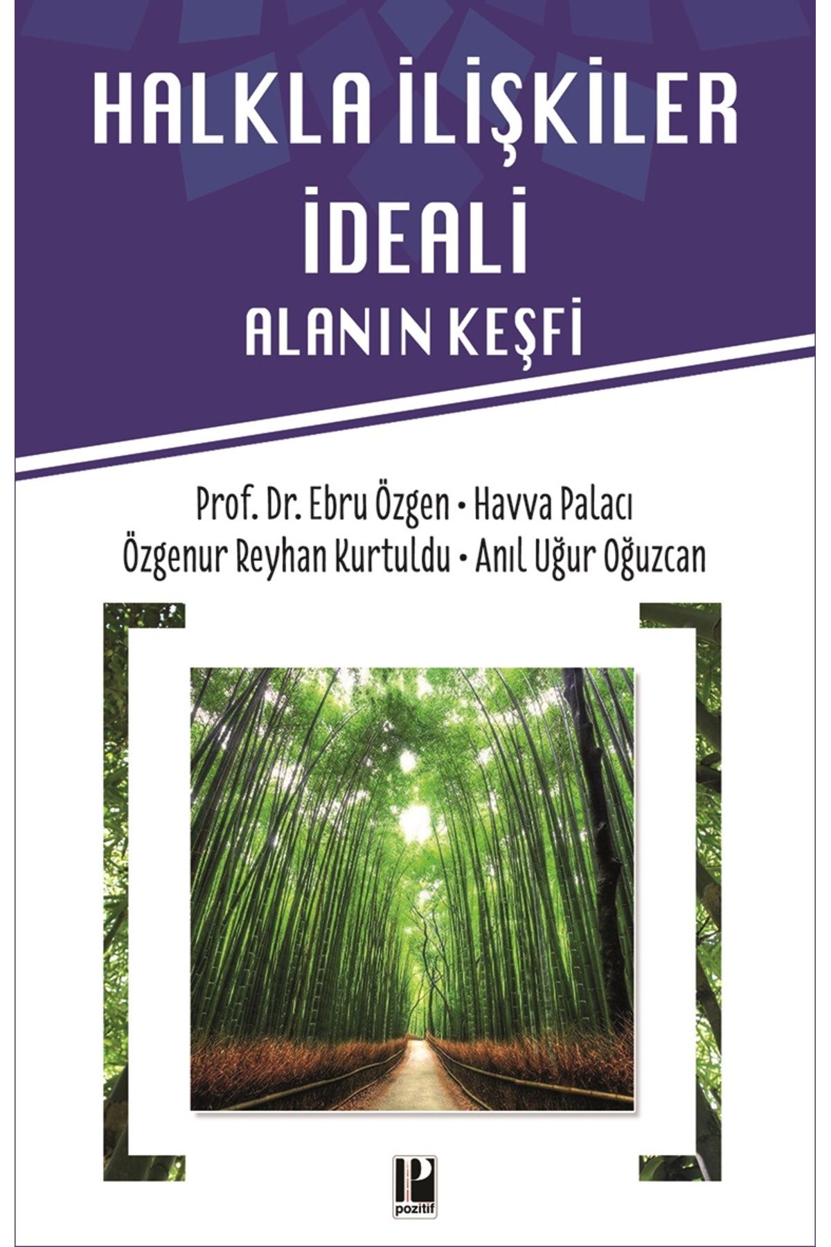 Pozitif Yayınları Halkla İlişkiler İdeali - Alanın Keşfi