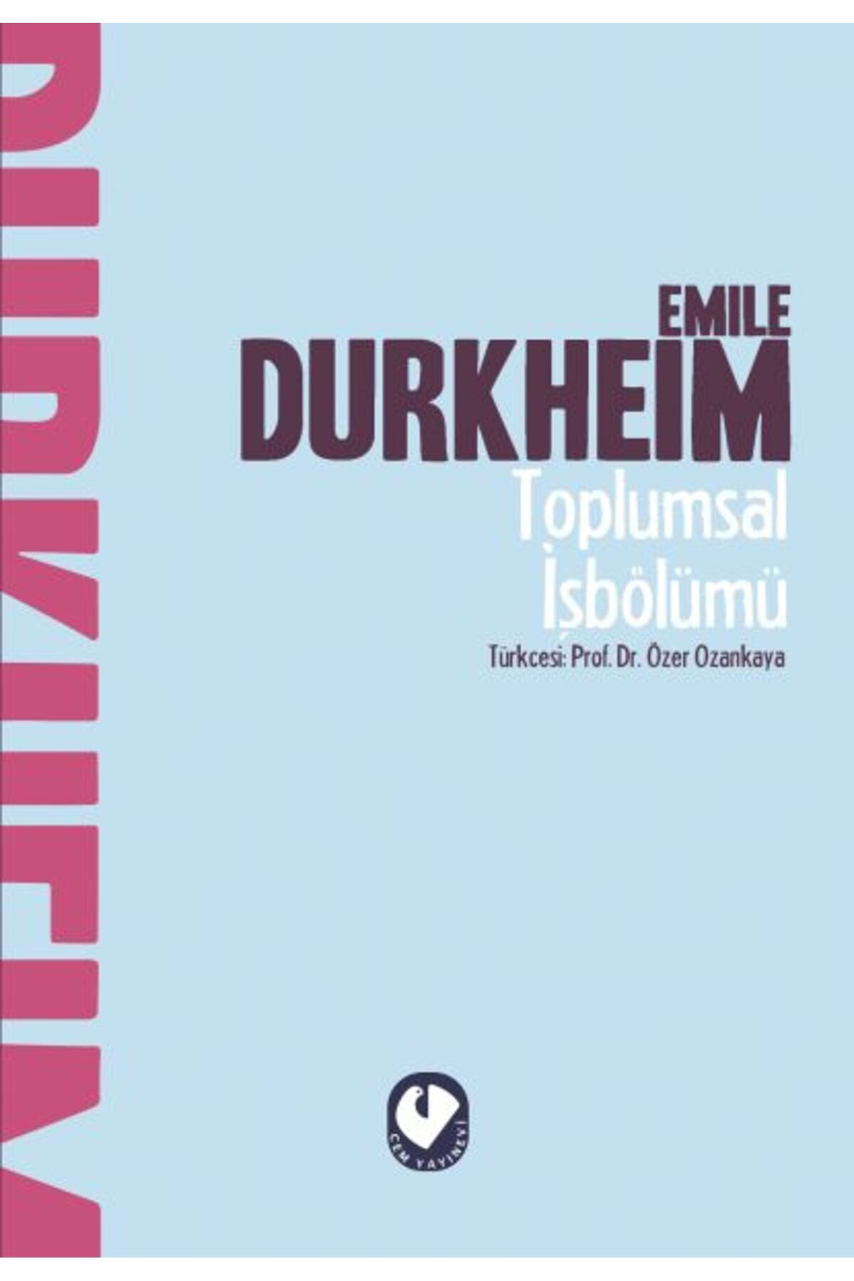 Cem Yayınevi Toplumsal İşbölümü