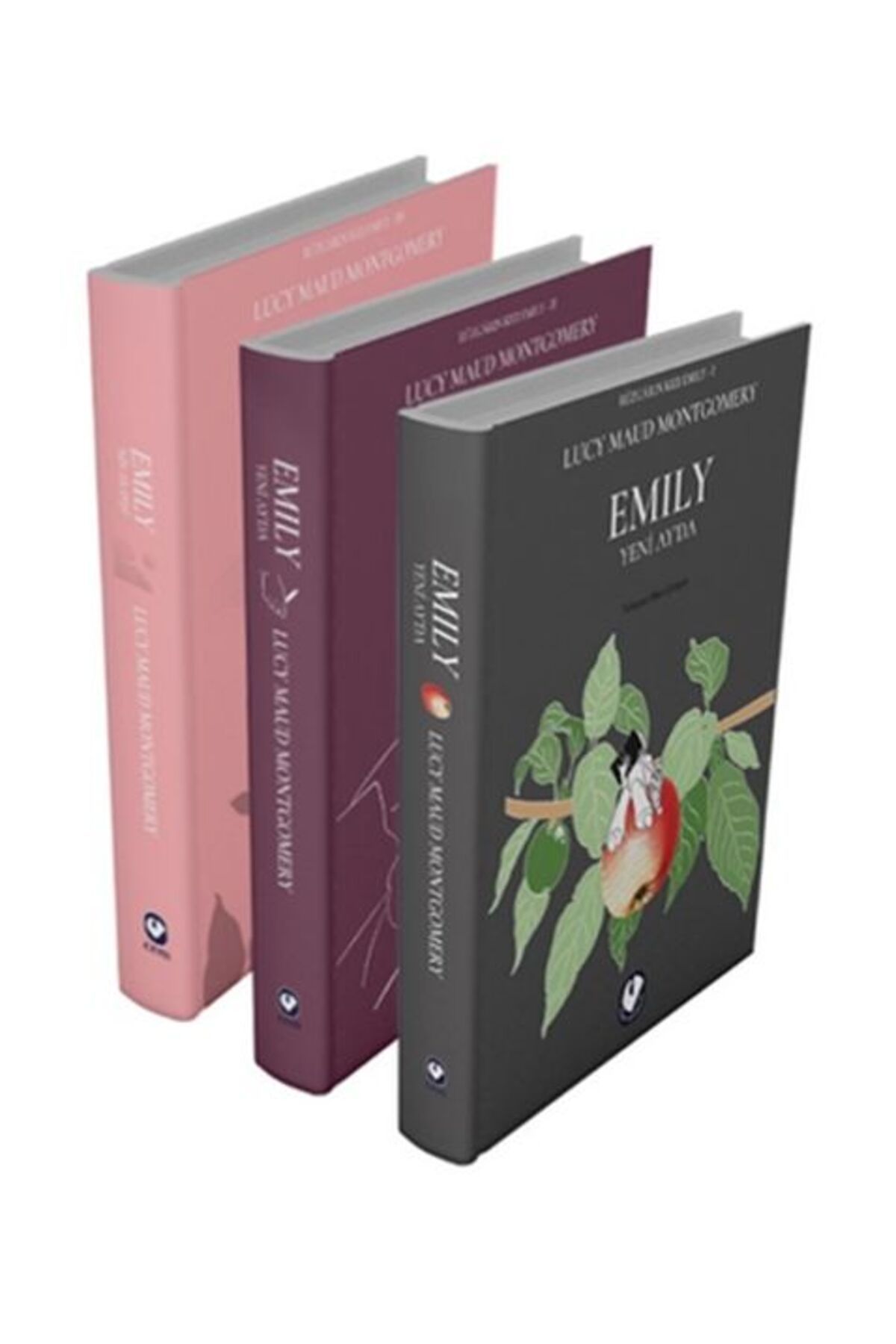 Karma Kitaplar Rüzgârın Kızı Emily Serisi (3 Kitap) kitap (Korunakli Posetle)