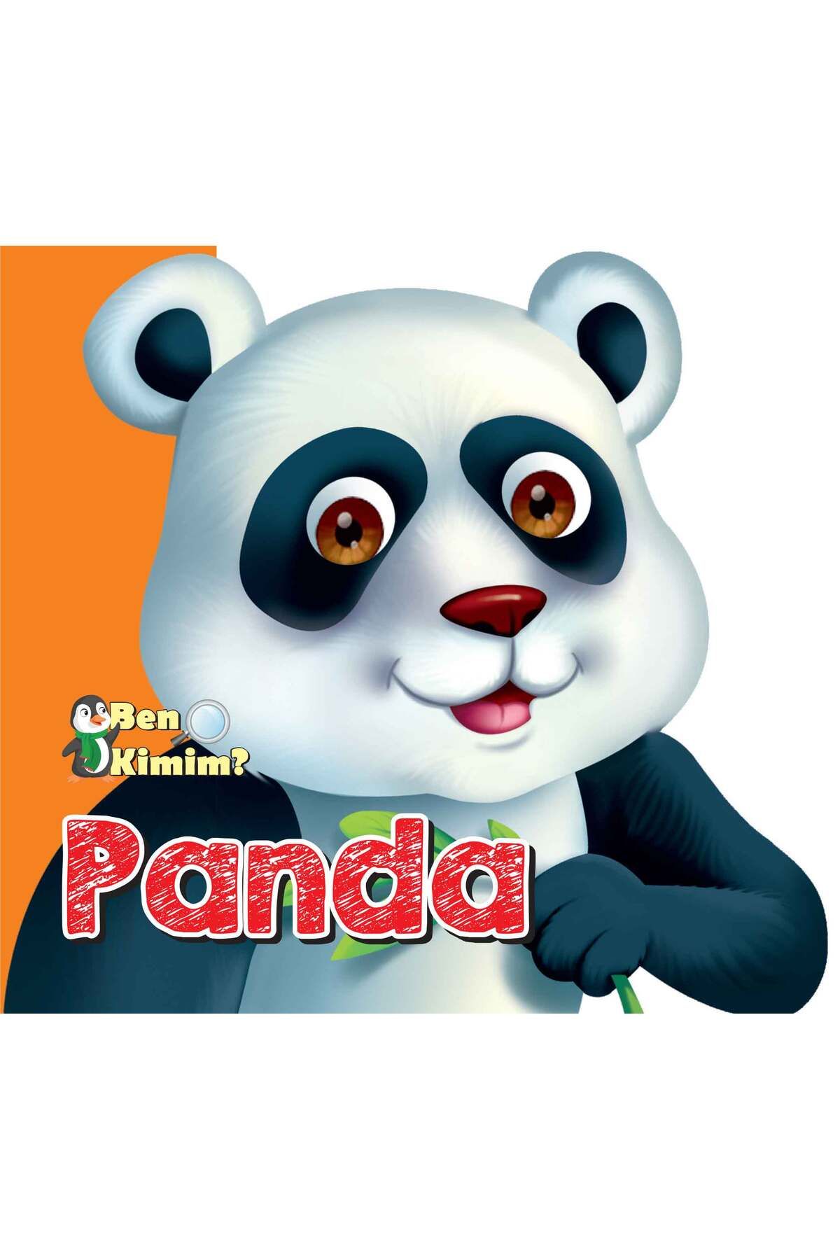 Destek Yayınları Ben Kimim? - Panda