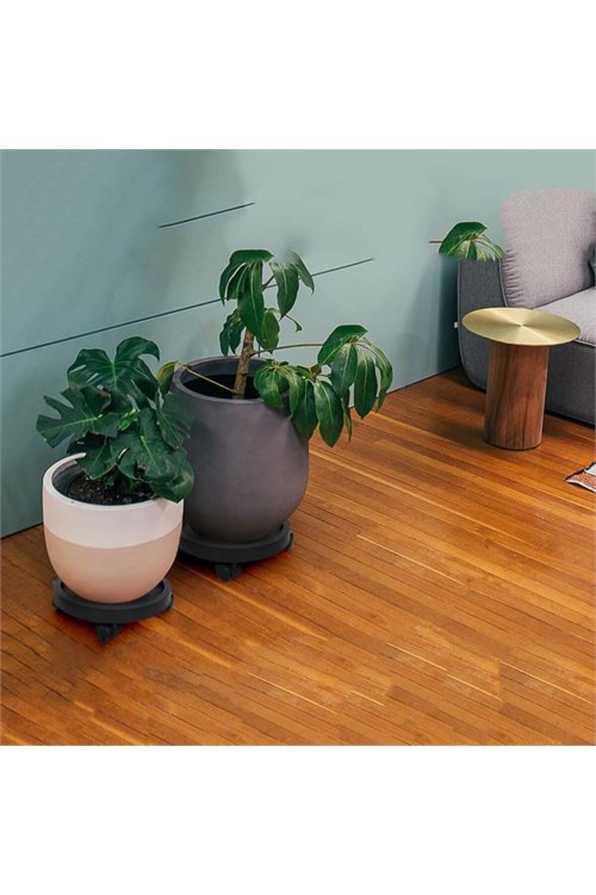 Takaz Global Coadura Saksı Taşıyıcı ve Altığı 29 Cm Tekerlekli YEŞİL