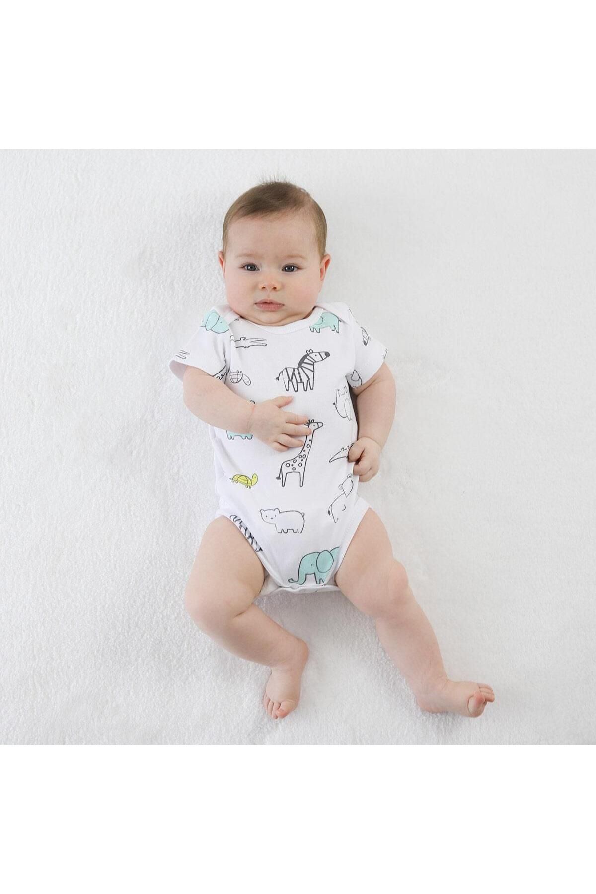 Owli-Baby Body Short Sleeve Zoo Zoo 3