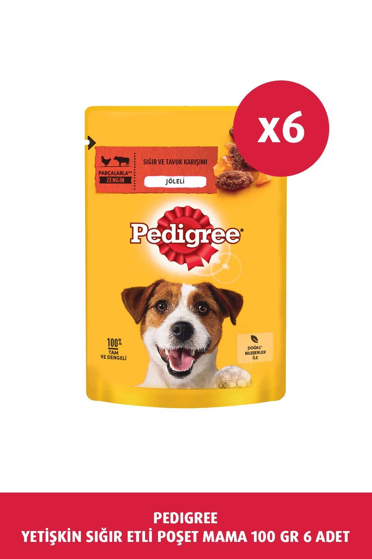 Pedigree Biftekli Poşet Yaş Mama 100 G 6x