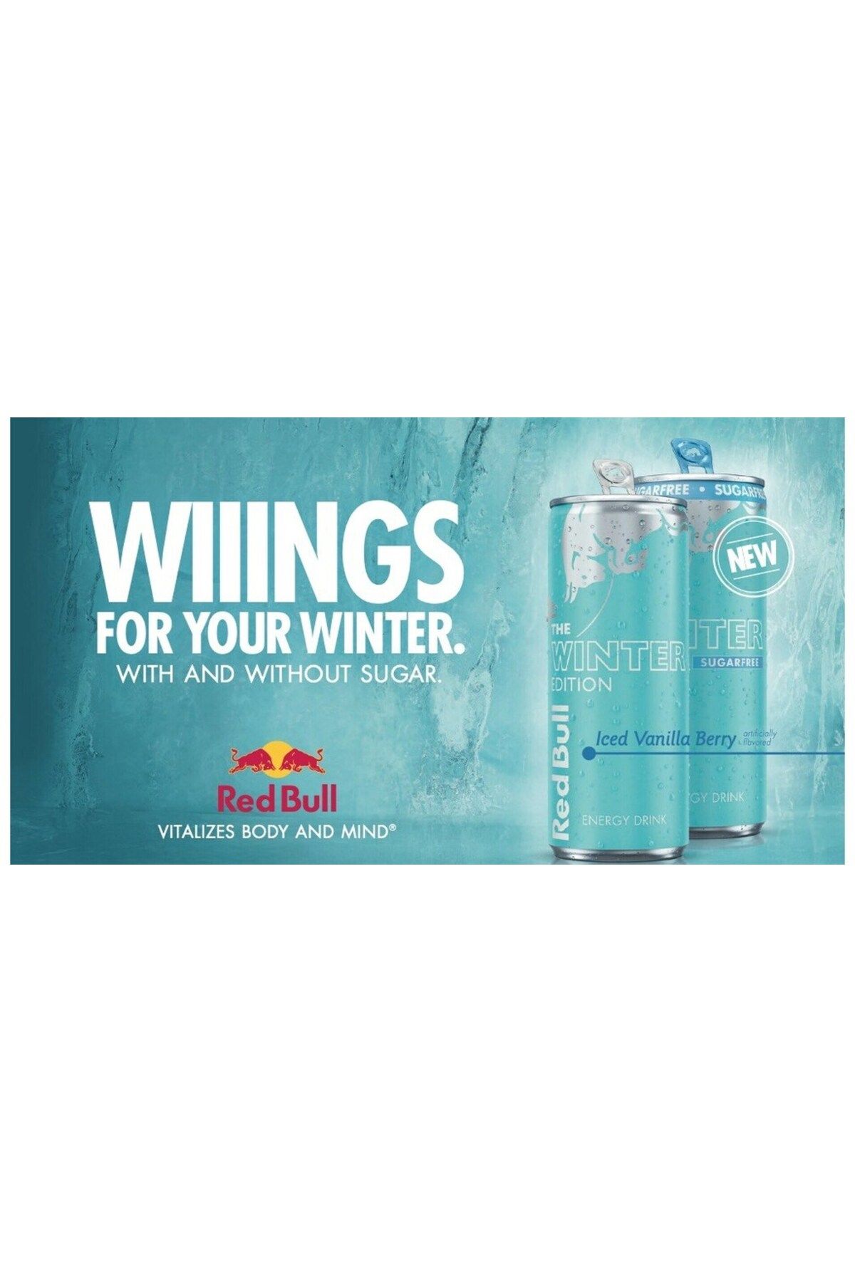 Red Bull Yeni Winter Edition Vanilya & Yaban Mersini ve Okaliptus Aromalı Enerji İçeceği 250 ml x 24 Adet