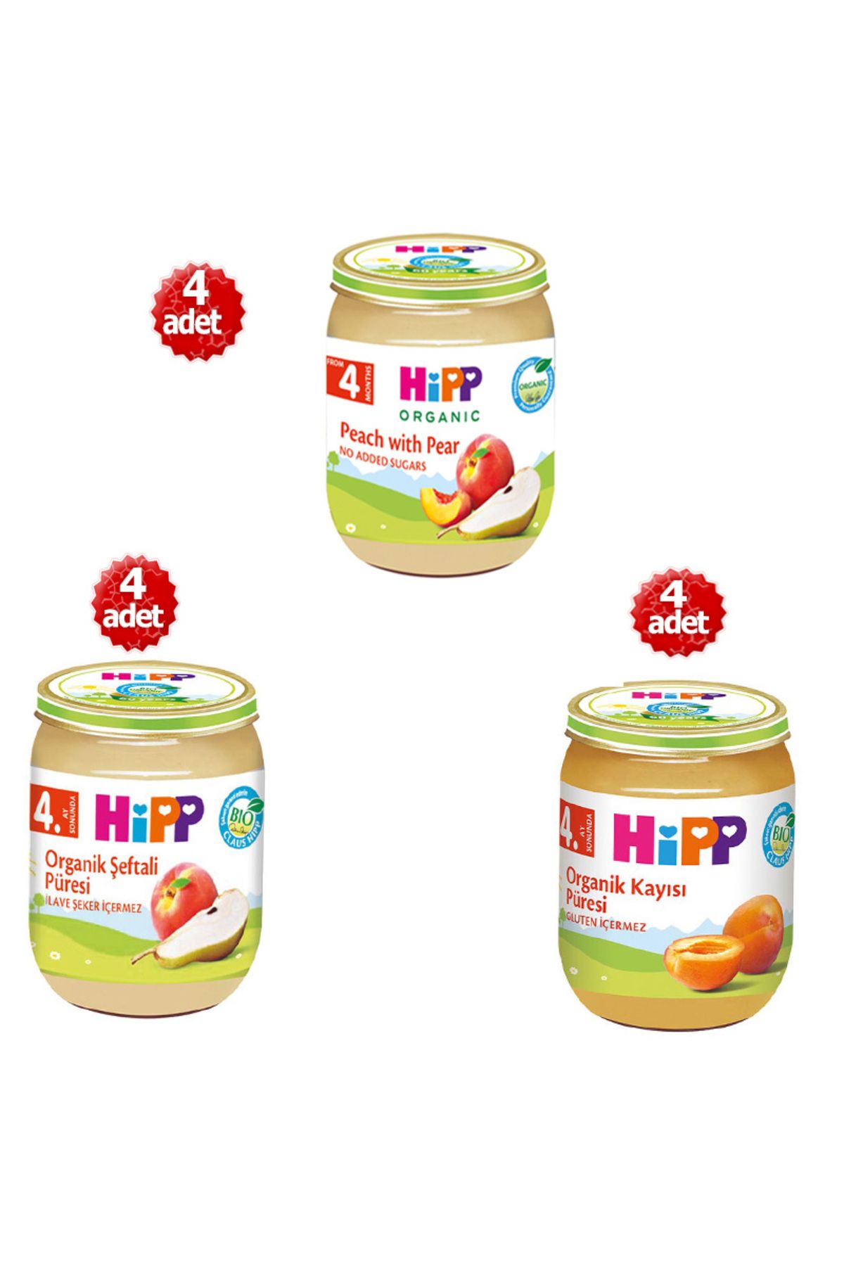 Hipp Organik X 12 Adet Karışık Meyve Püreleri 125 gr