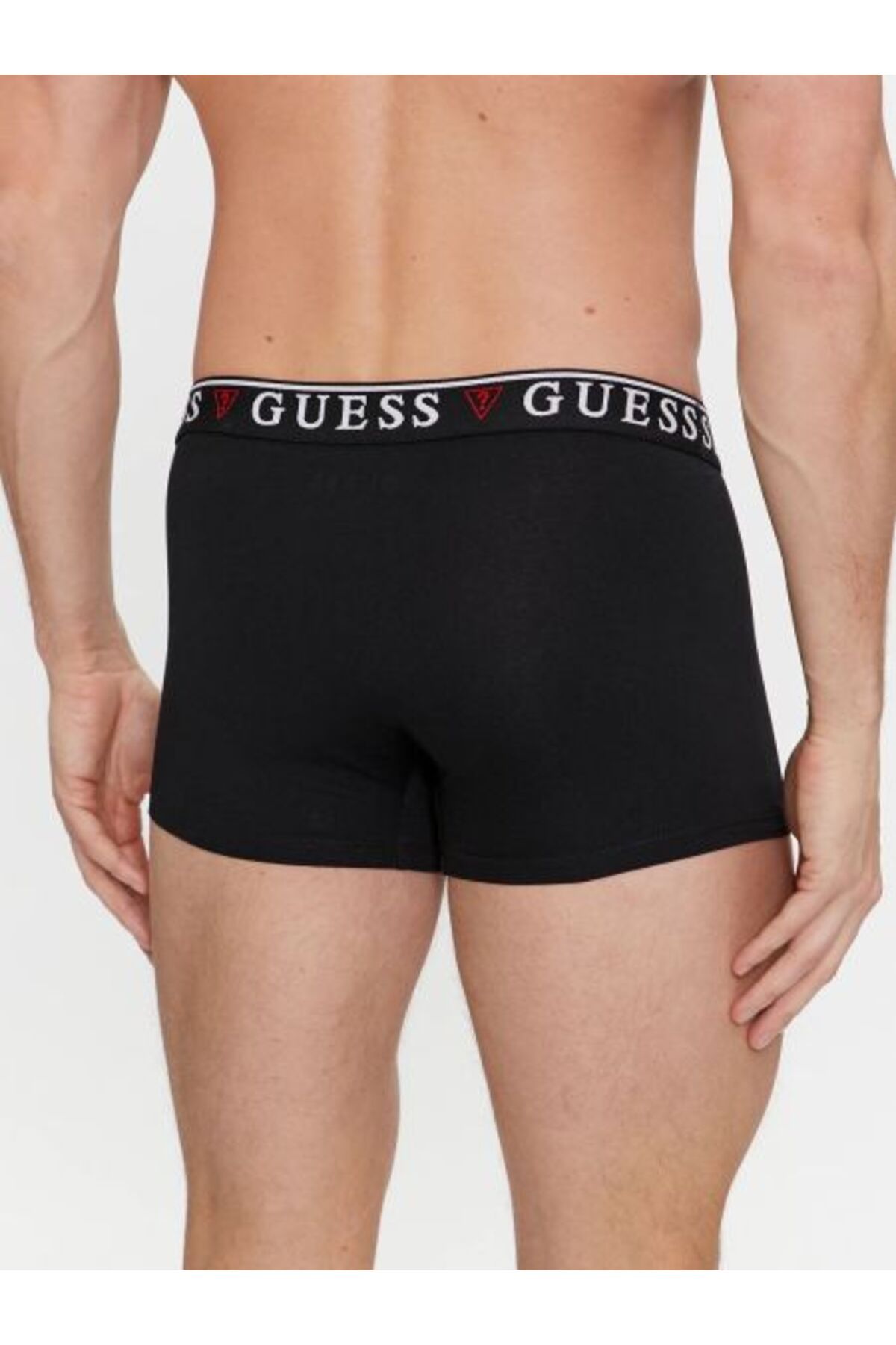 Guess-Boxer 4