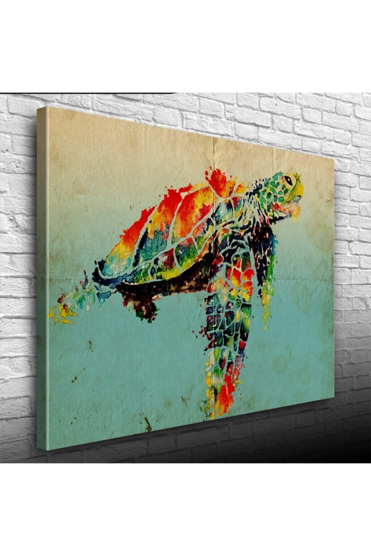 pazarella Renkli Kaplumbağa Canvas Tablo (50x70)