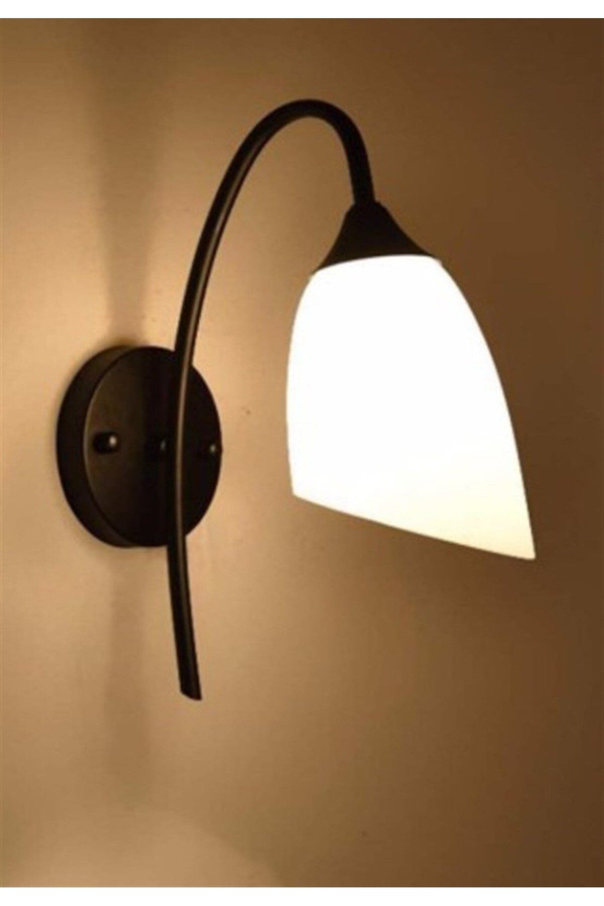 Taşcan Aydınlatma-Single Tulip Black Applique-glassy 1