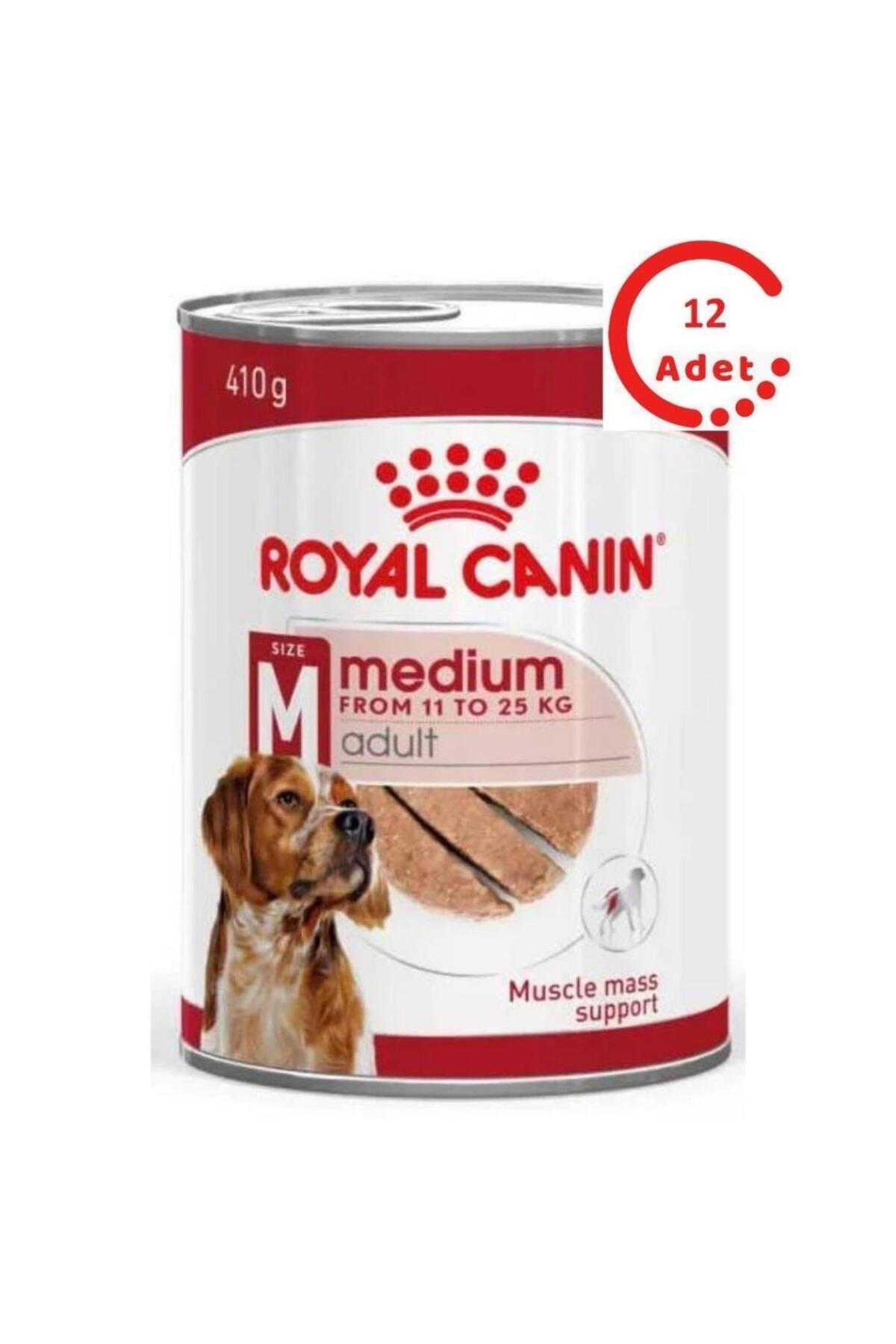 Royal Canin Loaf Mousse Orta Irk Ezme Yetişkin Köpek Konservesi 410gr x 12 Adet