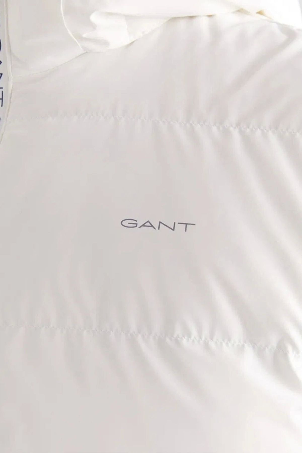 Gant-Men's Vest ( 7124109 T.113) 3