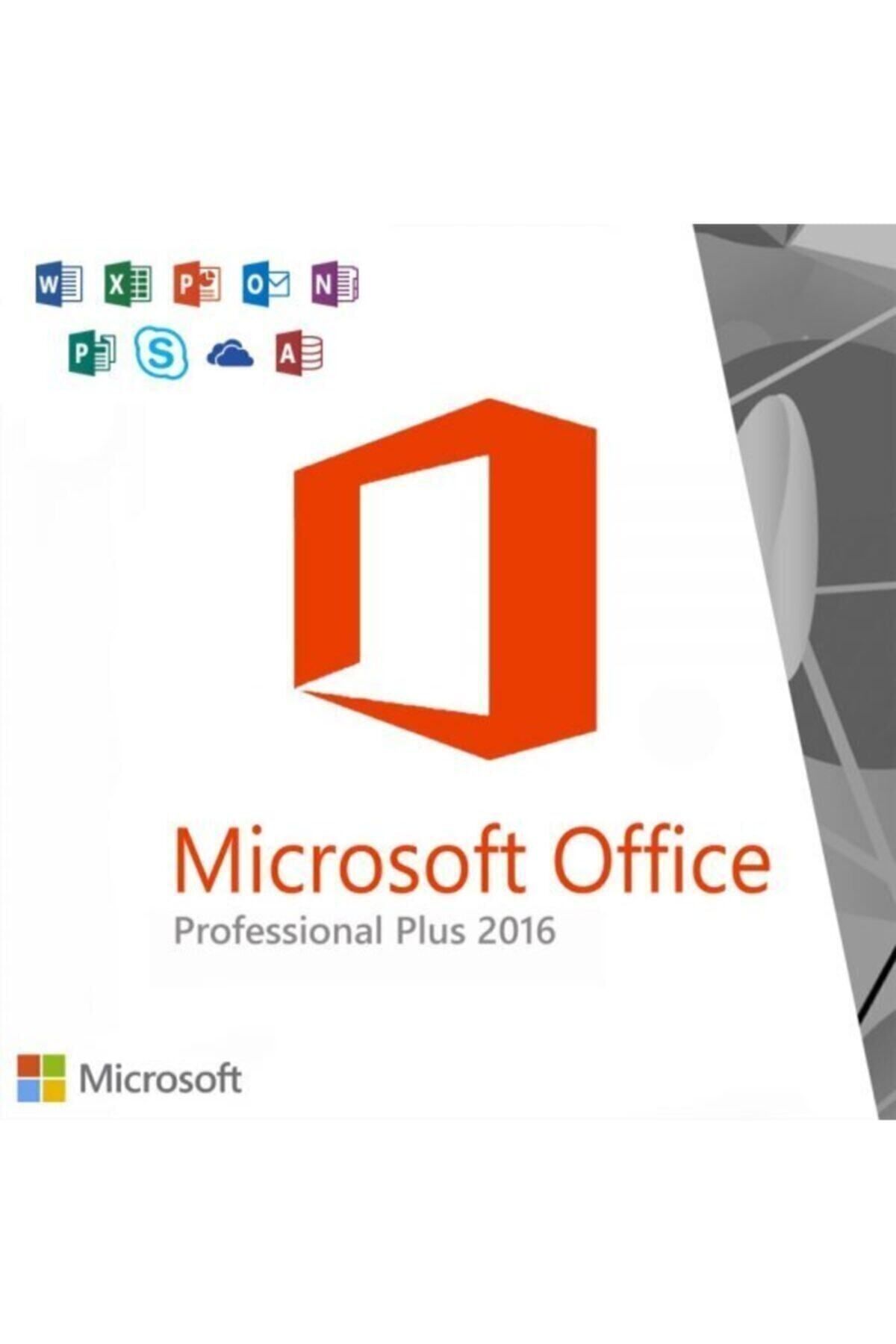 MICROSOFT OEM Ms Office 2016 Pro Plus Lisans Anahtarı