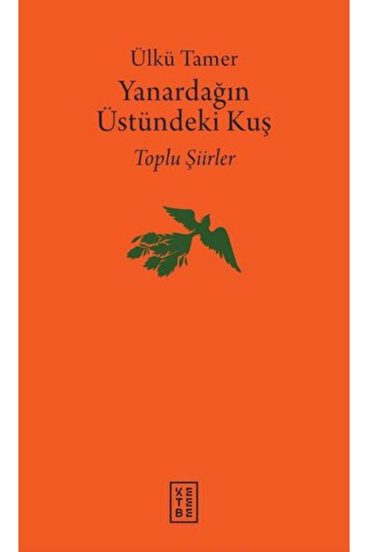 Destek Yayınları Yanardağın Üstündeki Kuş