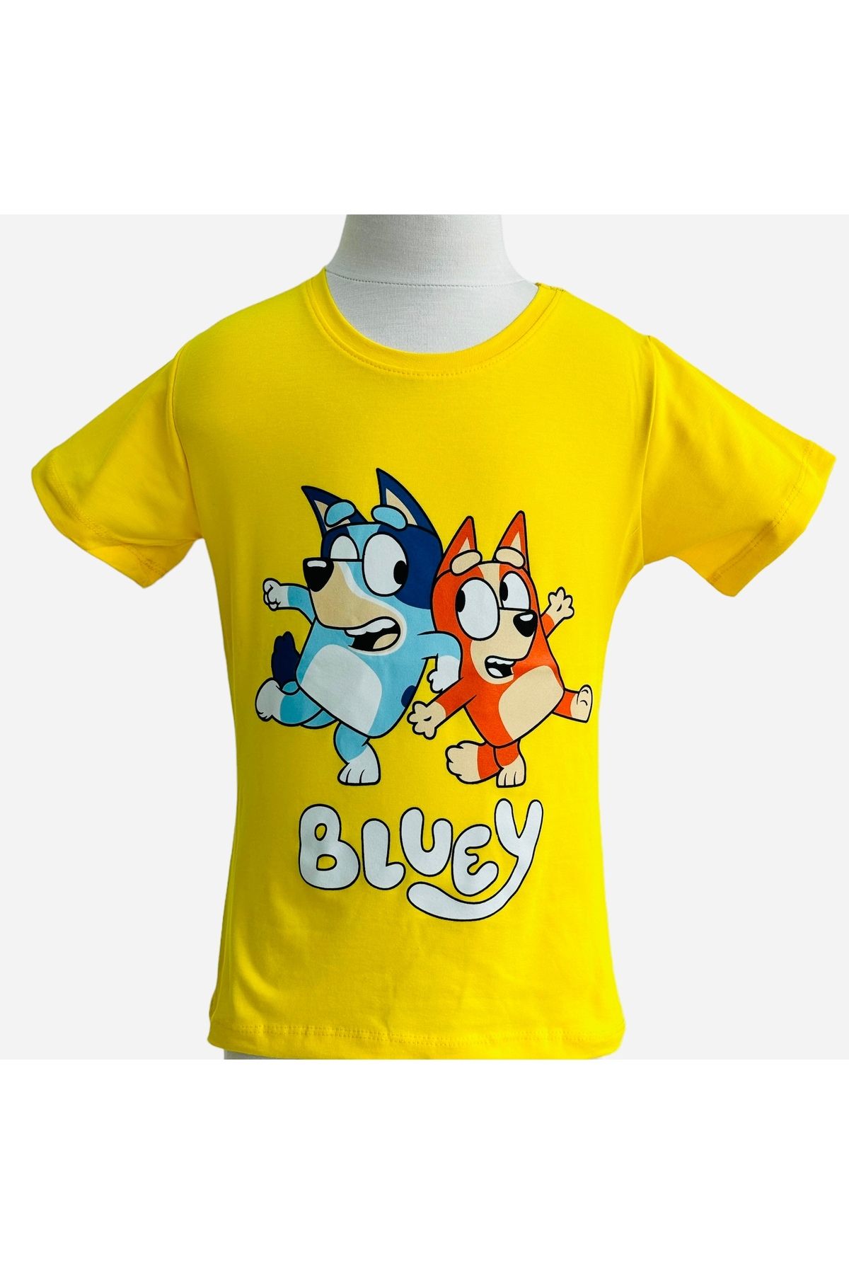 Atabay Kids-Bluey printed T-shirt 1