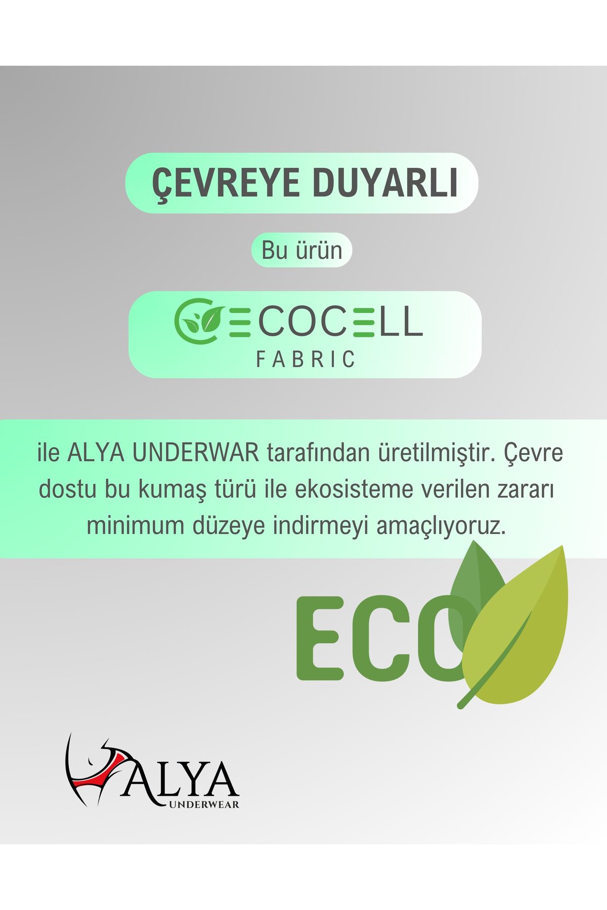 ALYA UNDERWEAR-Comfortable and Durable Underwear for Women - Lyocell Panties, Sweat-Absorbent, Lyosel 7