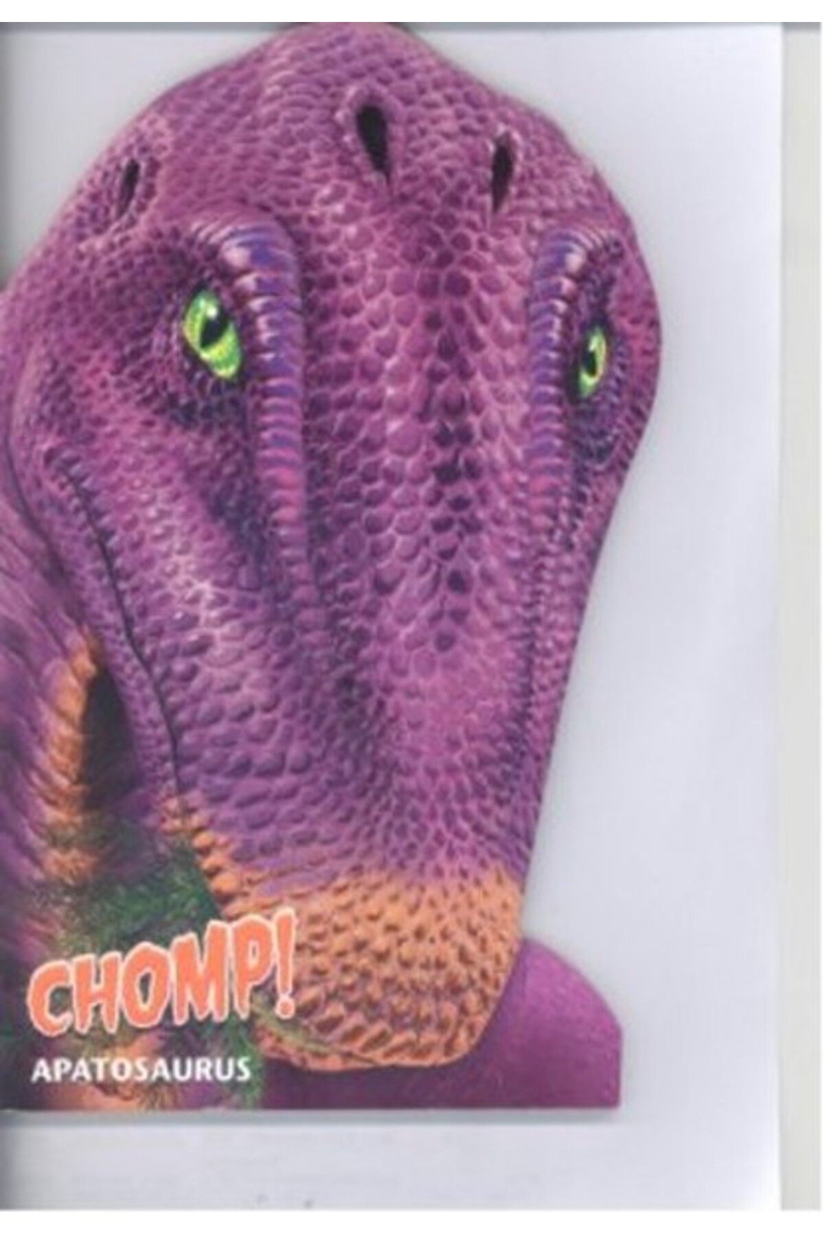 Karma Kitaplar Şekilli Dinozorlar - Apatosaurus