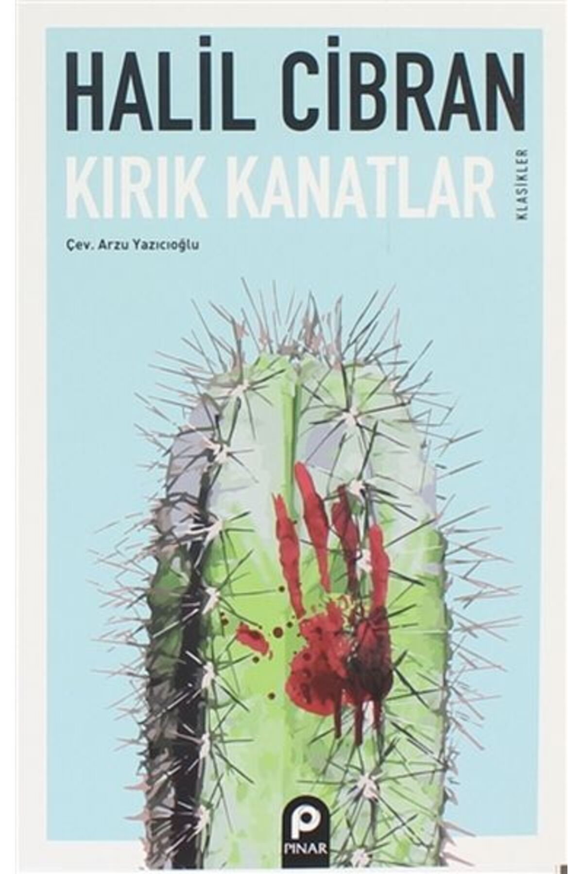 Pınar Yayınları Kırık Kanatlar