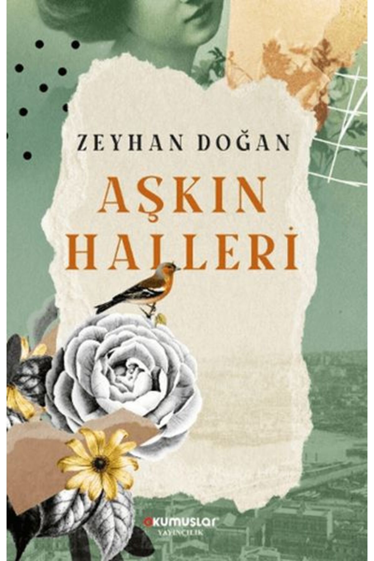 Okumuşlar Yayıncılık Aşkın Halleri