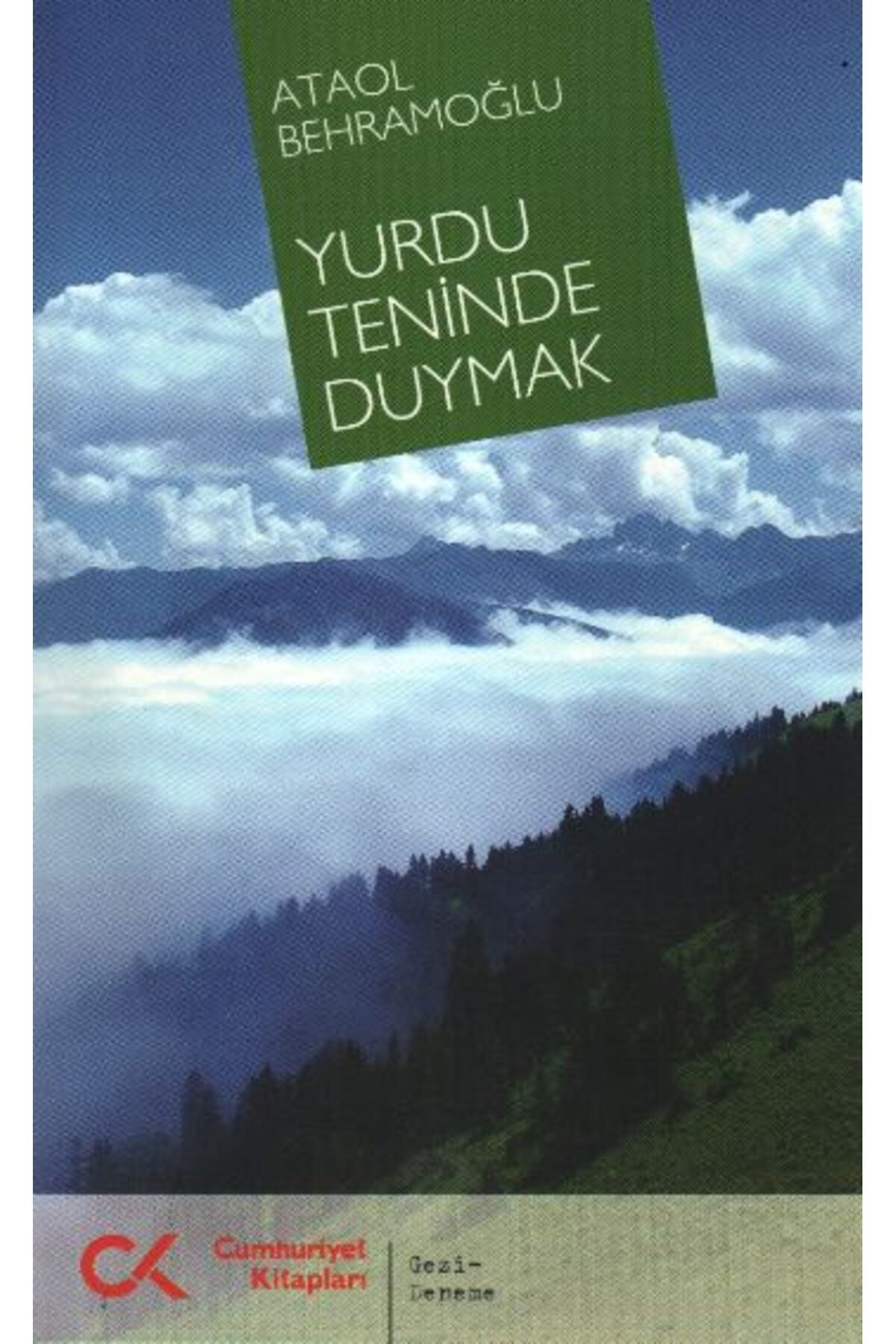 Cumhuriyet Kitapları Yurdu Teninde Duymak
