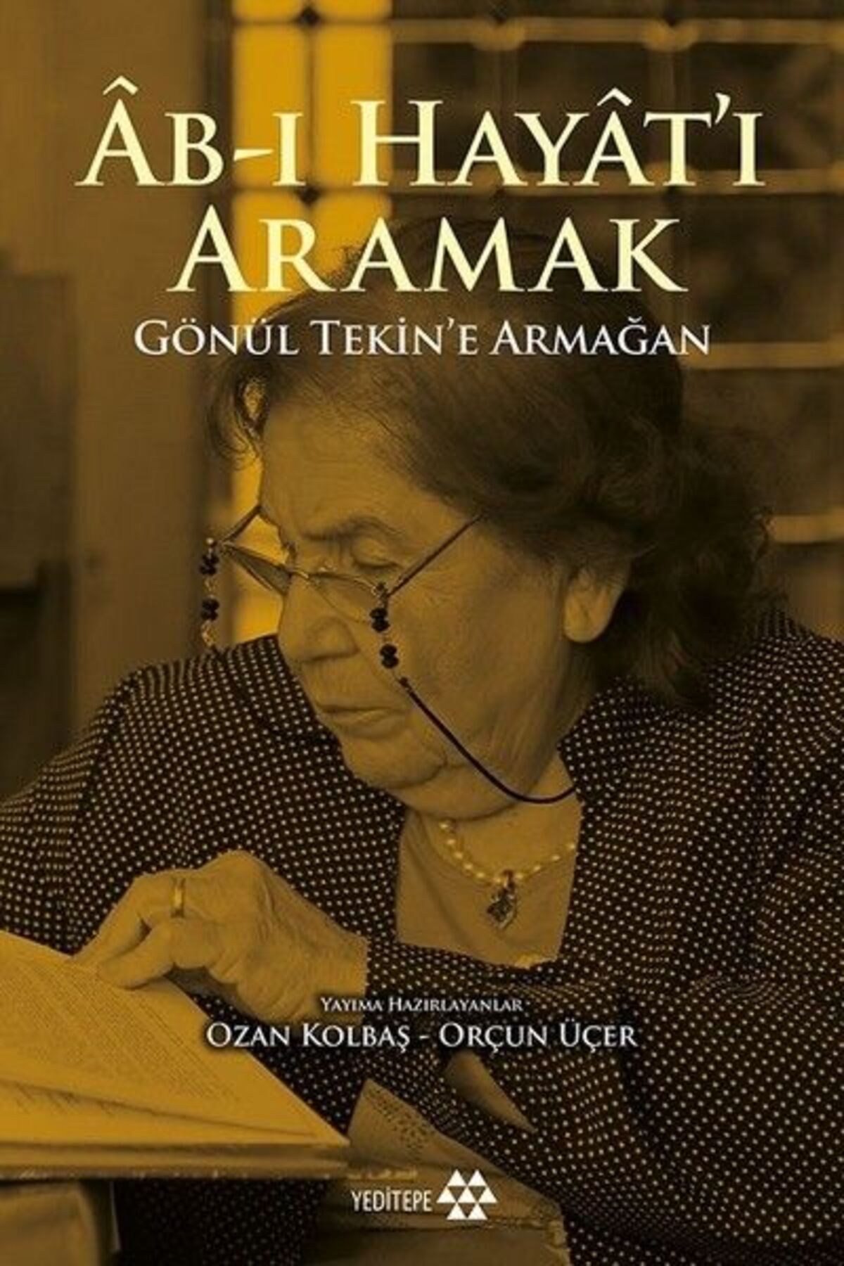 Yeditepe Yayınevi Ab-ı Hayat'ı Aramak - Gönül Tekin’e Armağan