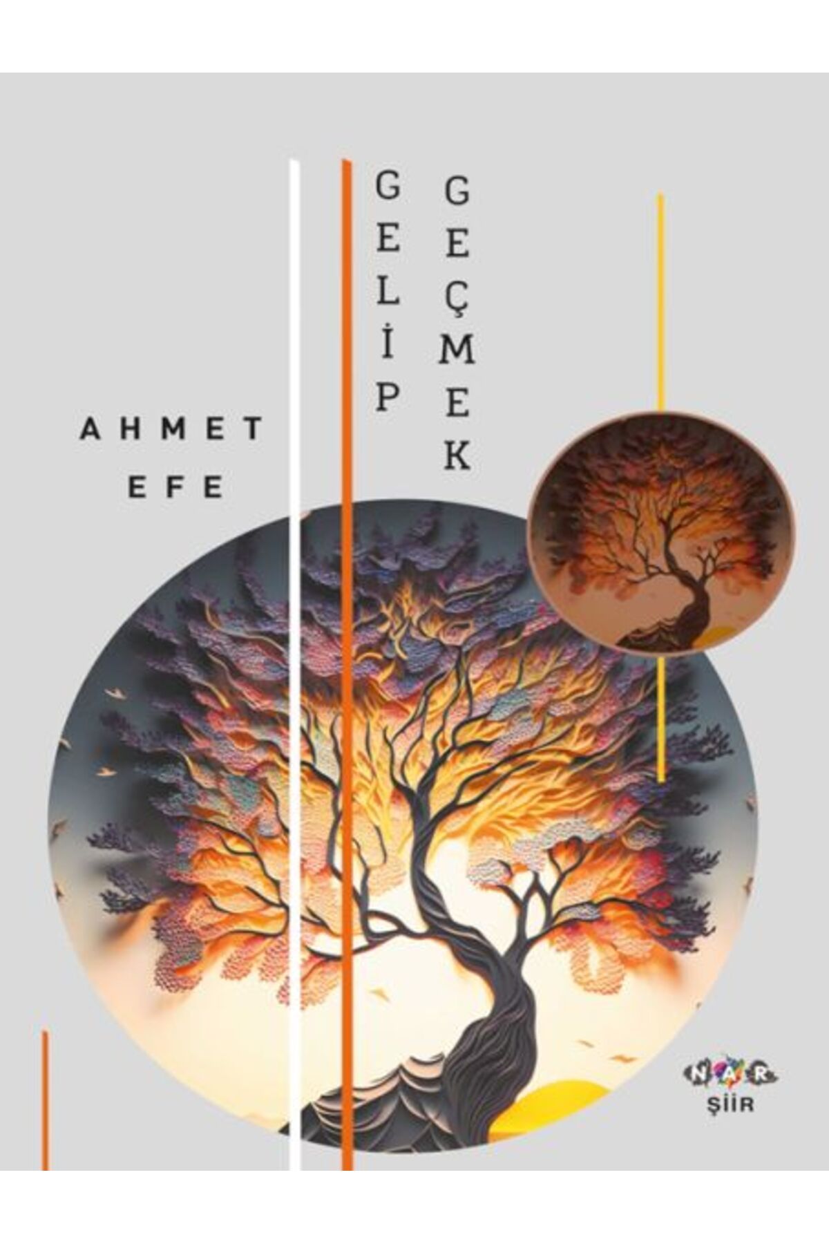 Türk Dil Kurumu Yayınları Gelip Geçmek