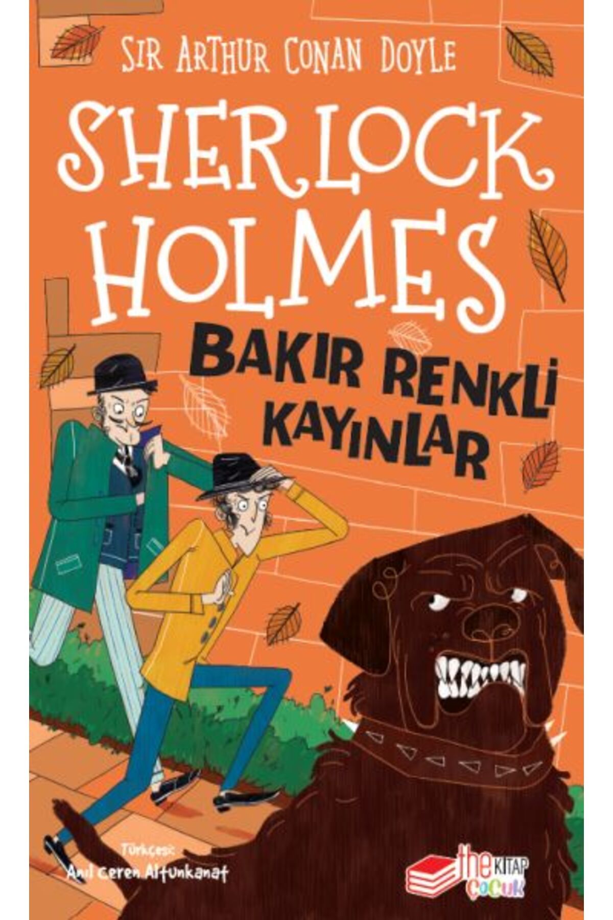 The Çocuk Sherlock Holmes Bakır Renkli Kayınlar