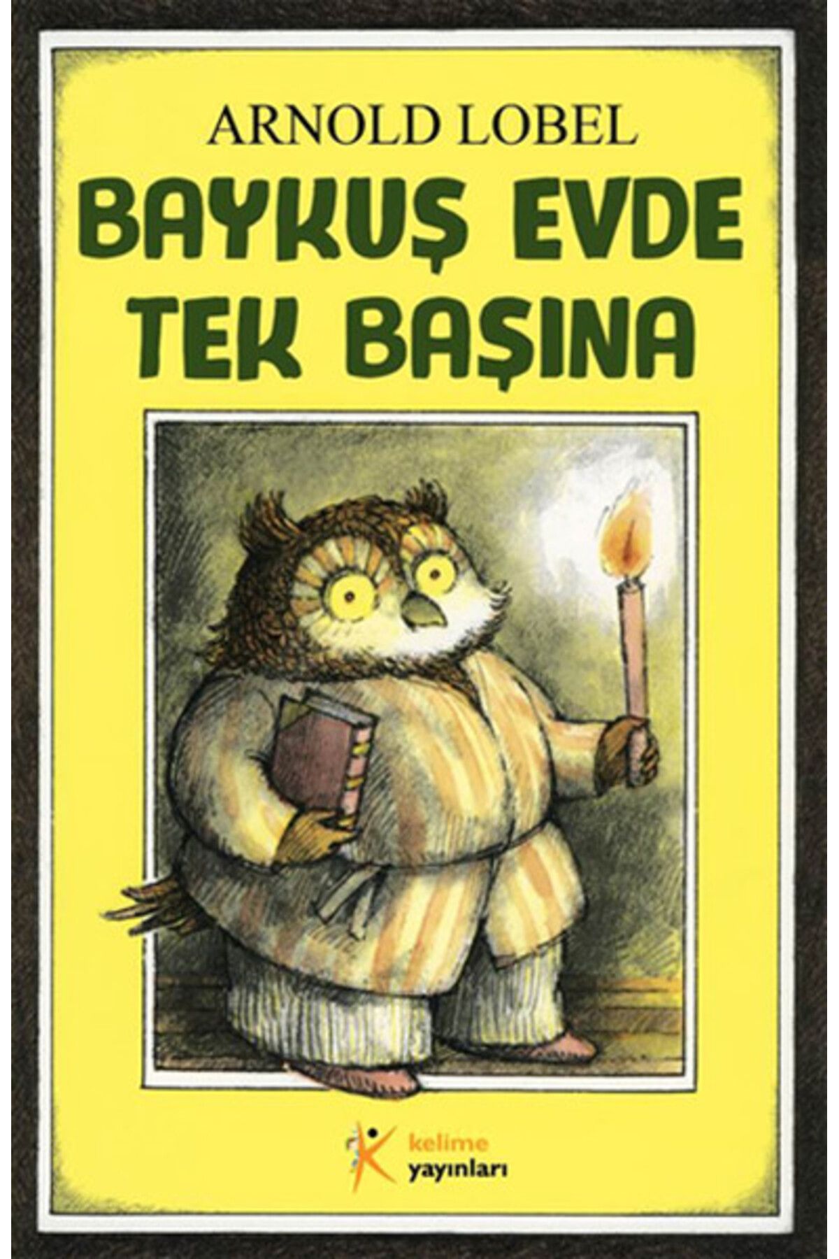 Türk Dil Kurumu Yayınları Baykuş Evde Tek Başına