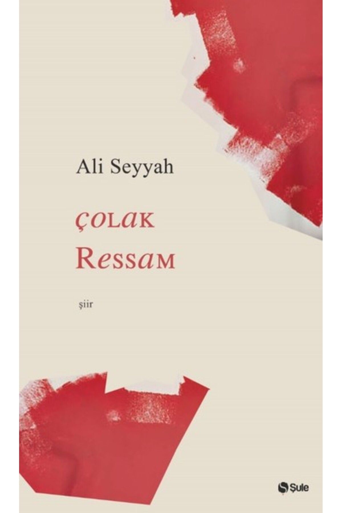 Şule Yayınları Çolak Ressam