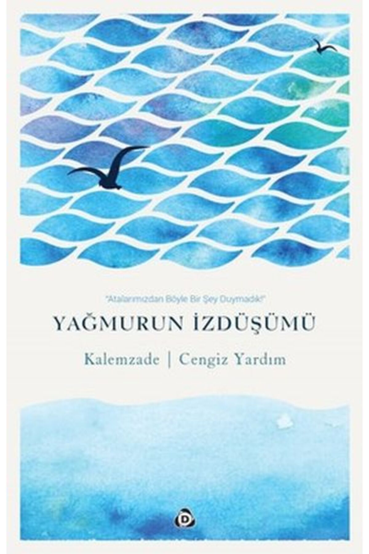 Düşün Yayıncılık Yağmurun İzdüşümü