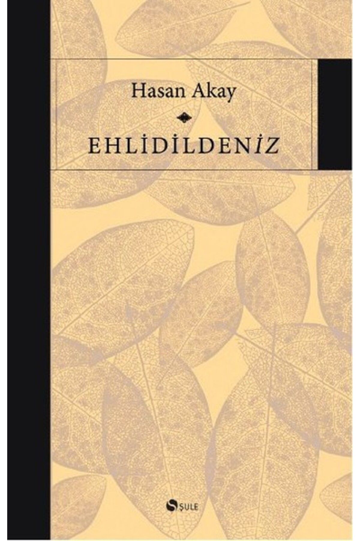 Şule Yayınları Ehlidildeniz