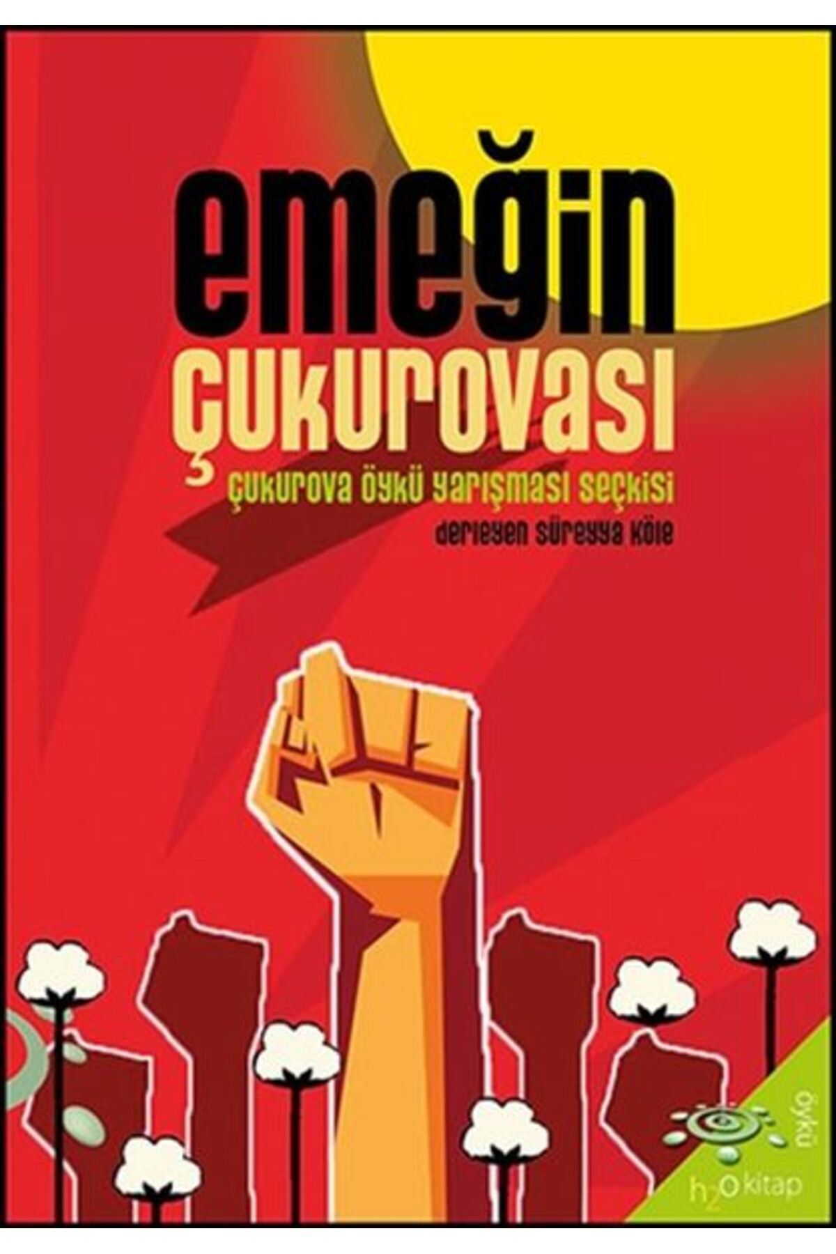 h2o Kitap Emeğin Çukurovası
