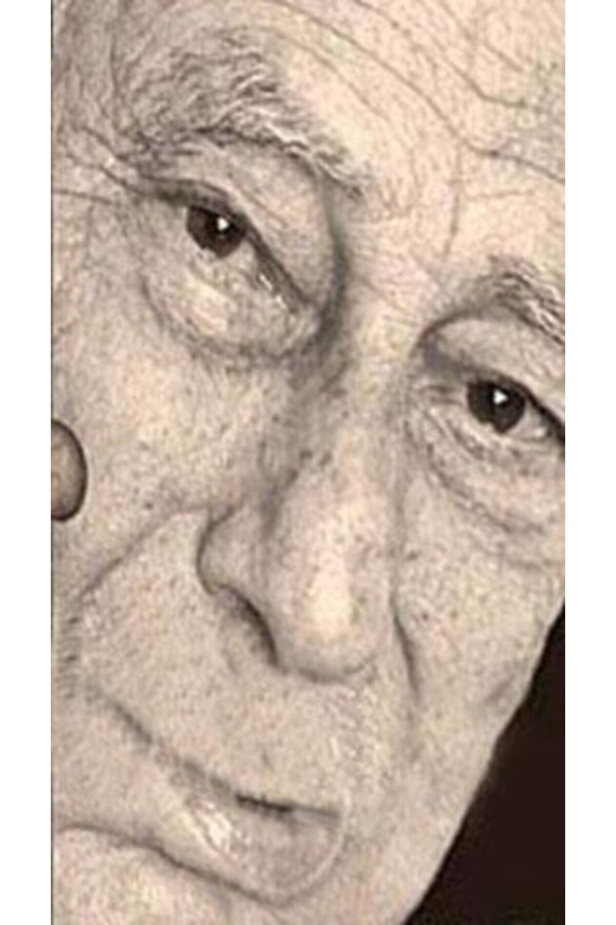 Aras Yayıncılık Panasdeğdzutyunner I-II (2 Cilt Takım)