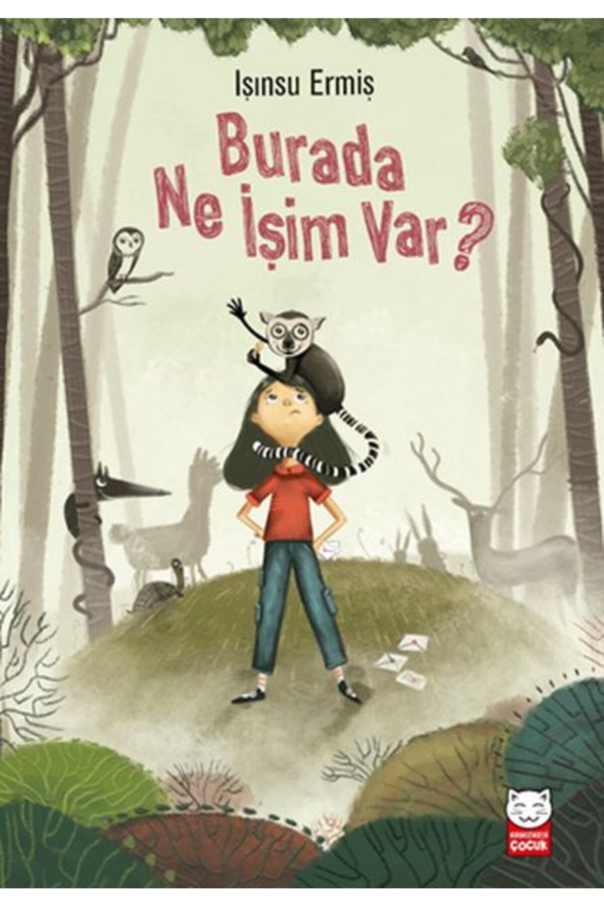 Kırmızı Kedi Çocuk Burada Ne İşim Var?