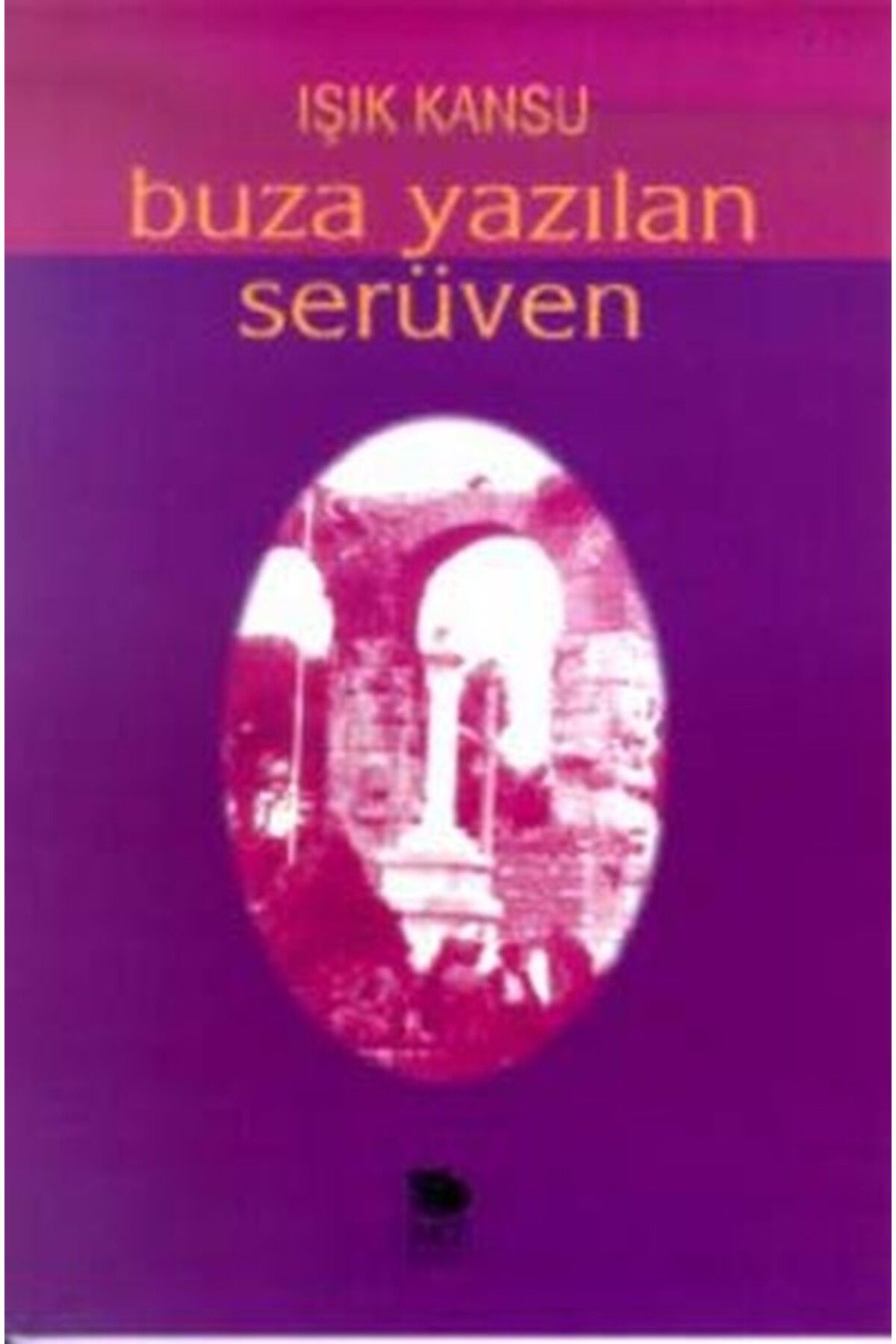 İmge Kitabevi Yayınları Buza Yazılan Serüven