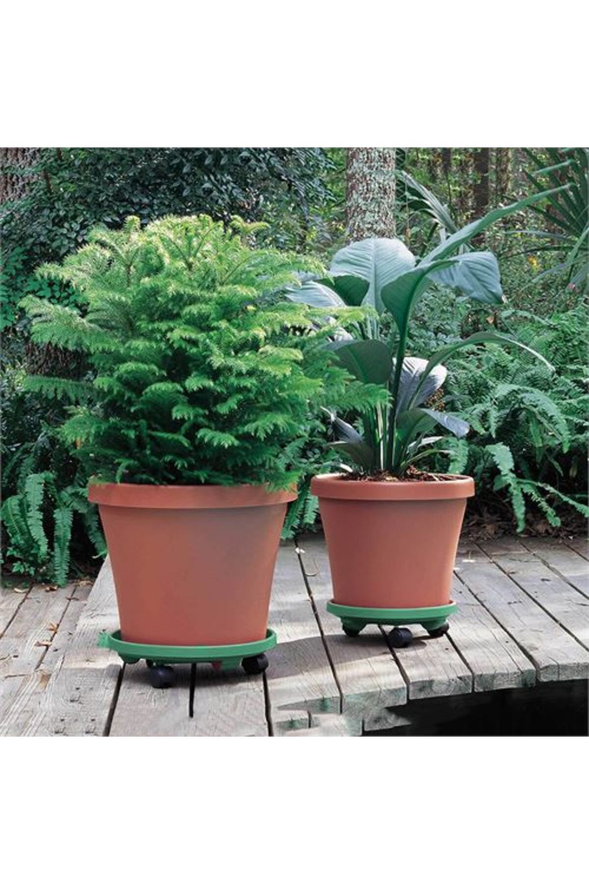 Takaz Global Coadura Tekerlekli Saksı Taşıyıcı Ve Altığı 37 Cm Yeşil 716869