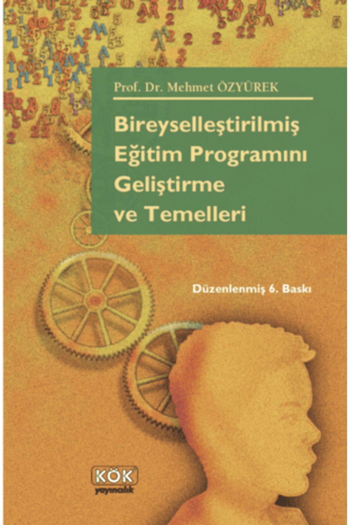 Kök Yayıncılık Bireyselleştirilmiş Eğitim Programını Geliştirme ve Temelleri