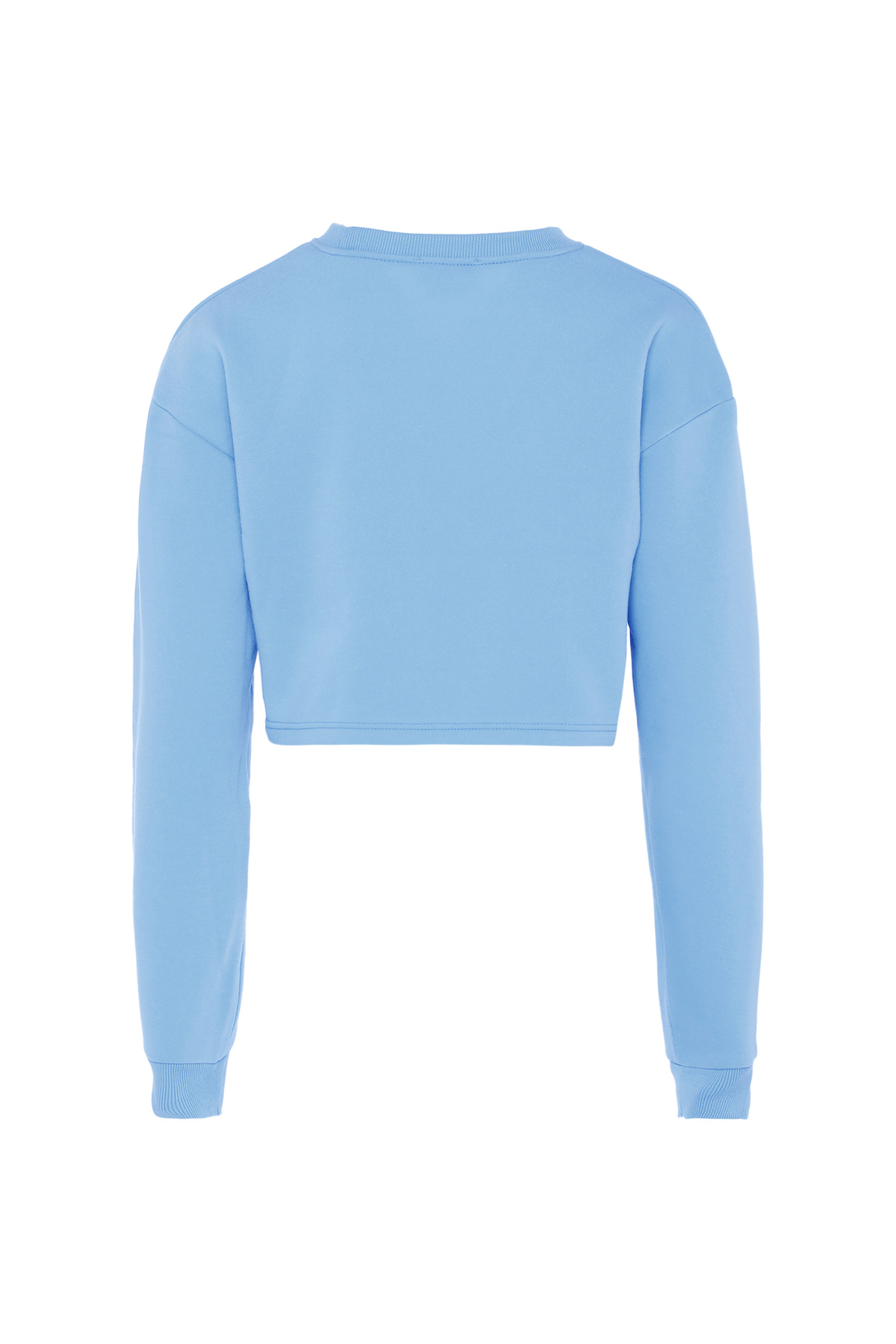 EXIDE-Sweatshirt 2