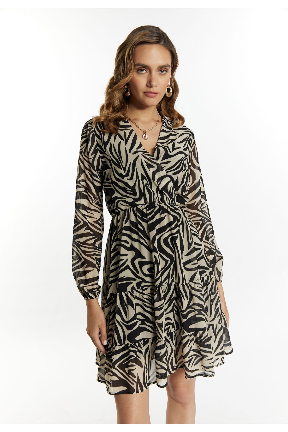Faina-Rochie cu model zebră 3