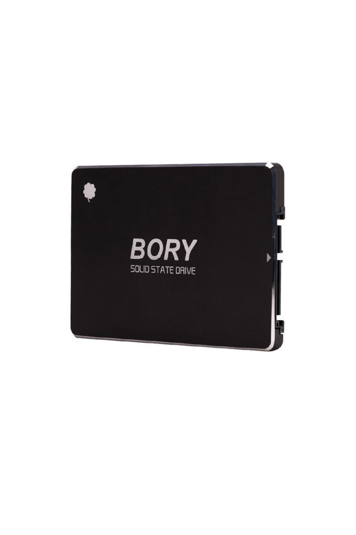 BORY 256 GB BORY SATA3 R500- C256G SSD 550/510 MBS