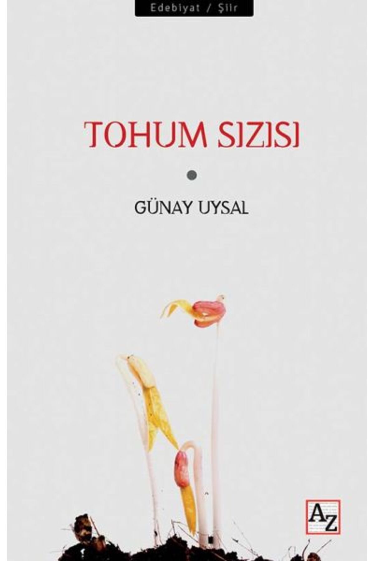 Az Kitap Tohum Sızısı