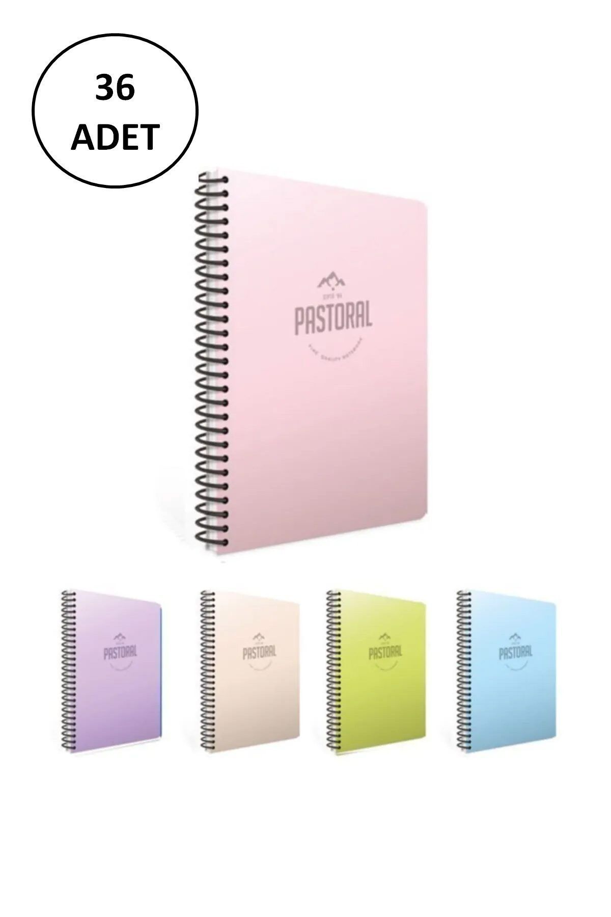Easy Tedarik Gıpta A6 Pastoral Spiralli Plastik Kapak Defter 80 Yaprak Çizgili