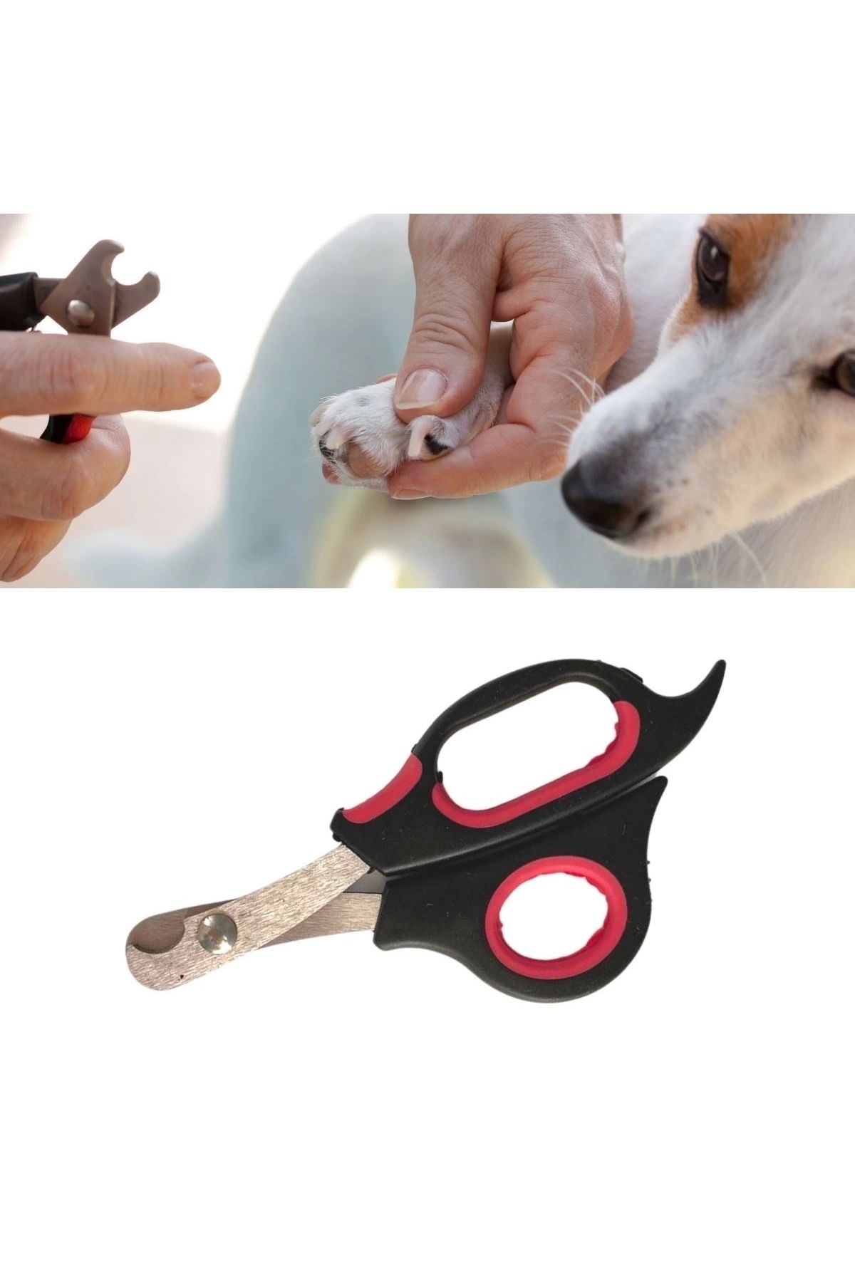 UGA İthalat-Large Size Pet Dog Cat Steel Tip Nail Clipper Paw Care Tool 1