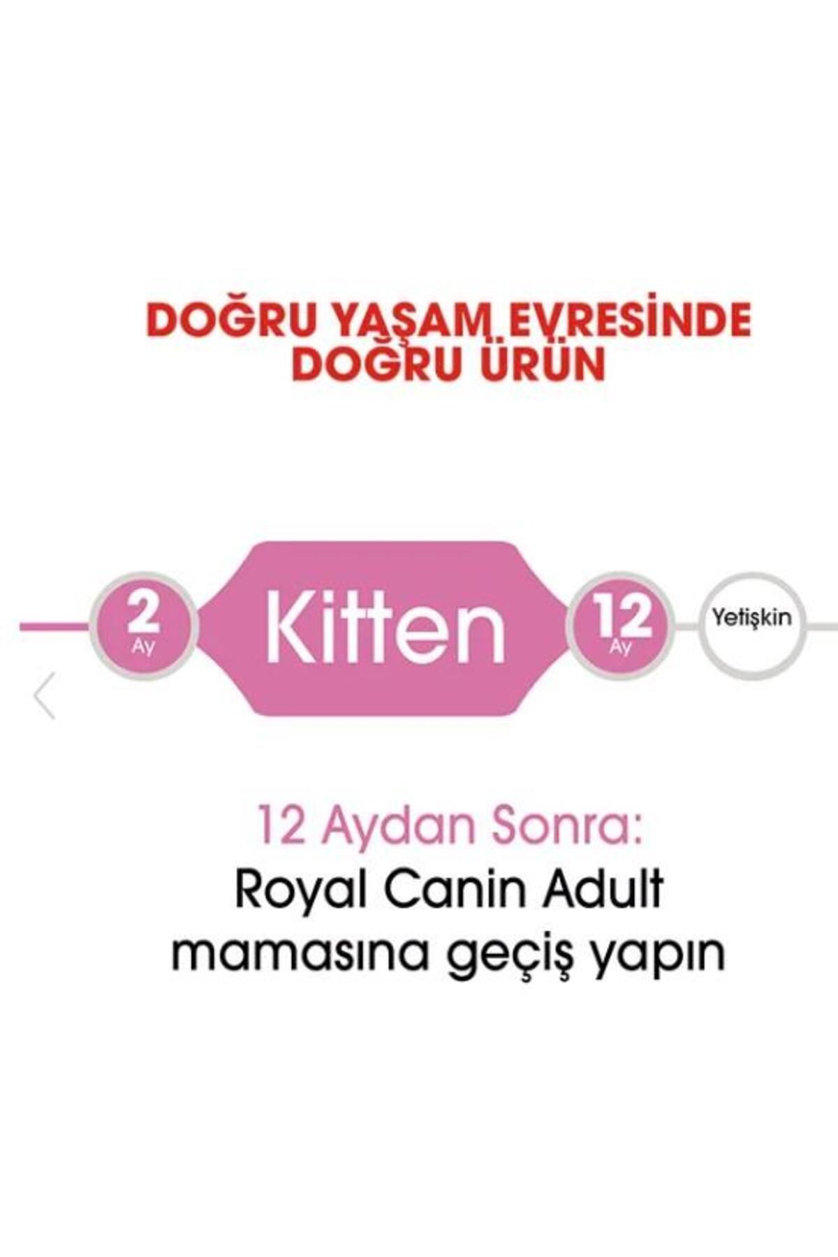 Royal Canin-طعام قطط 10 كجم - كيتن 36 4