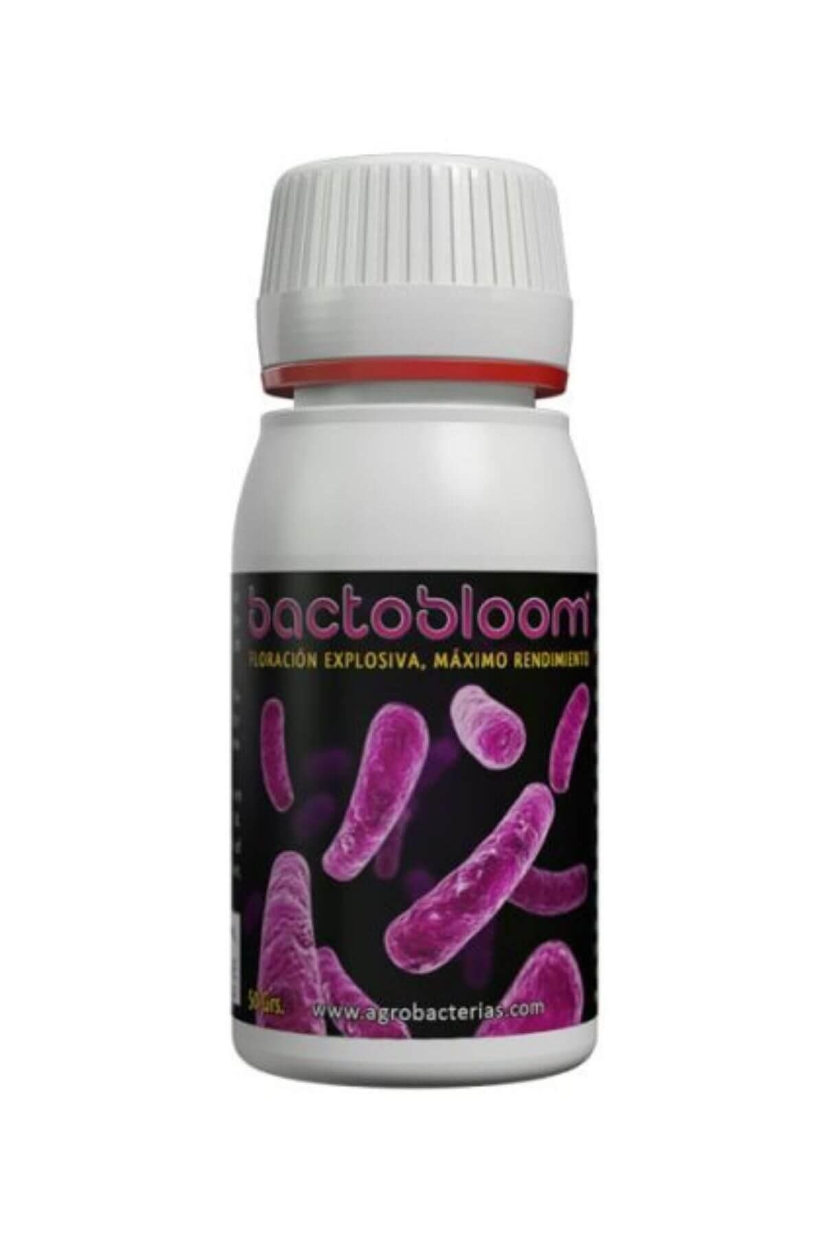 Agrobacterias Bactobloom 50 G Bitki Hasat Arttırıcı Bakteri