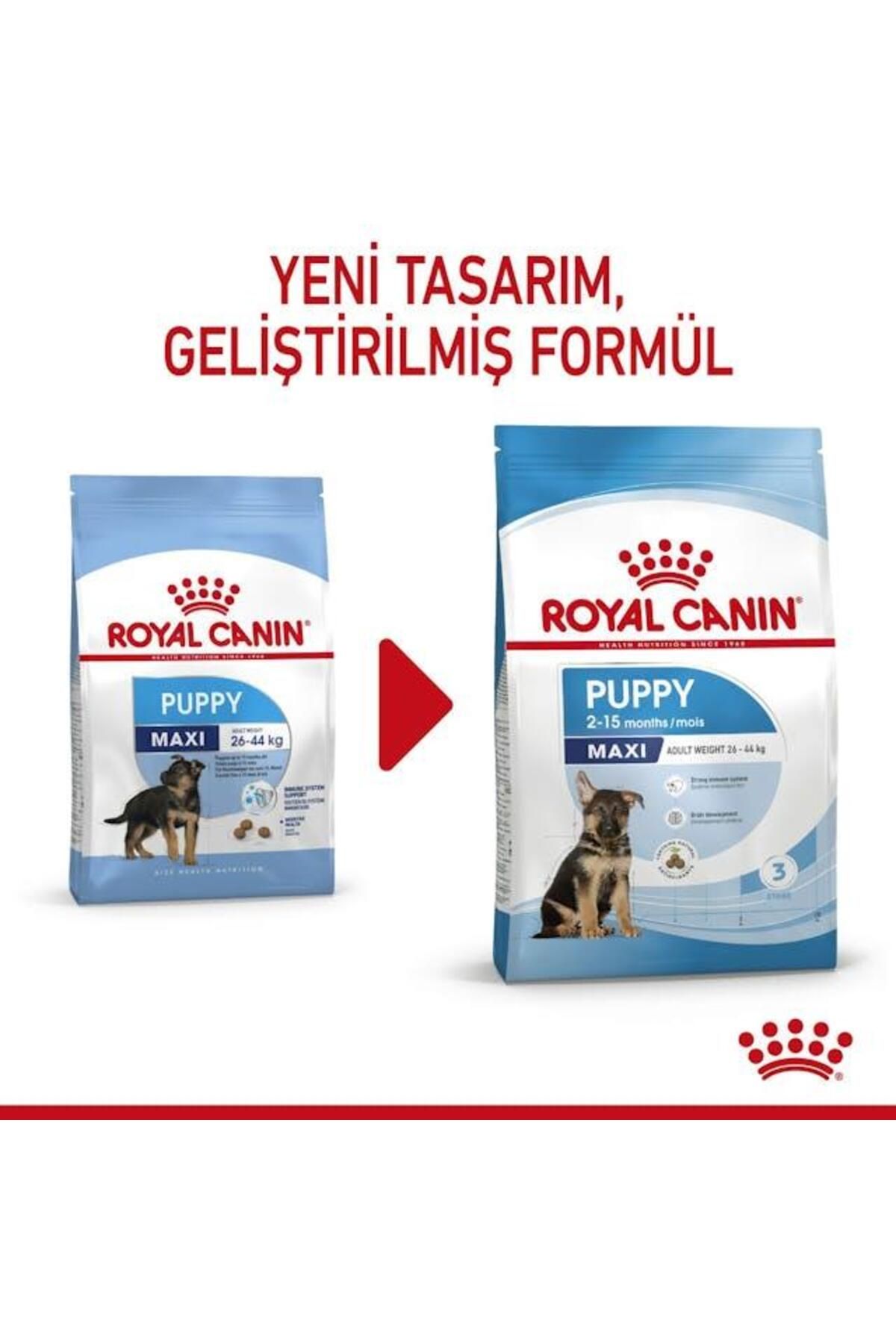 Royal Canin Maxi Puppy Büyük Irk Yavru Köpek Maması 15 Kg